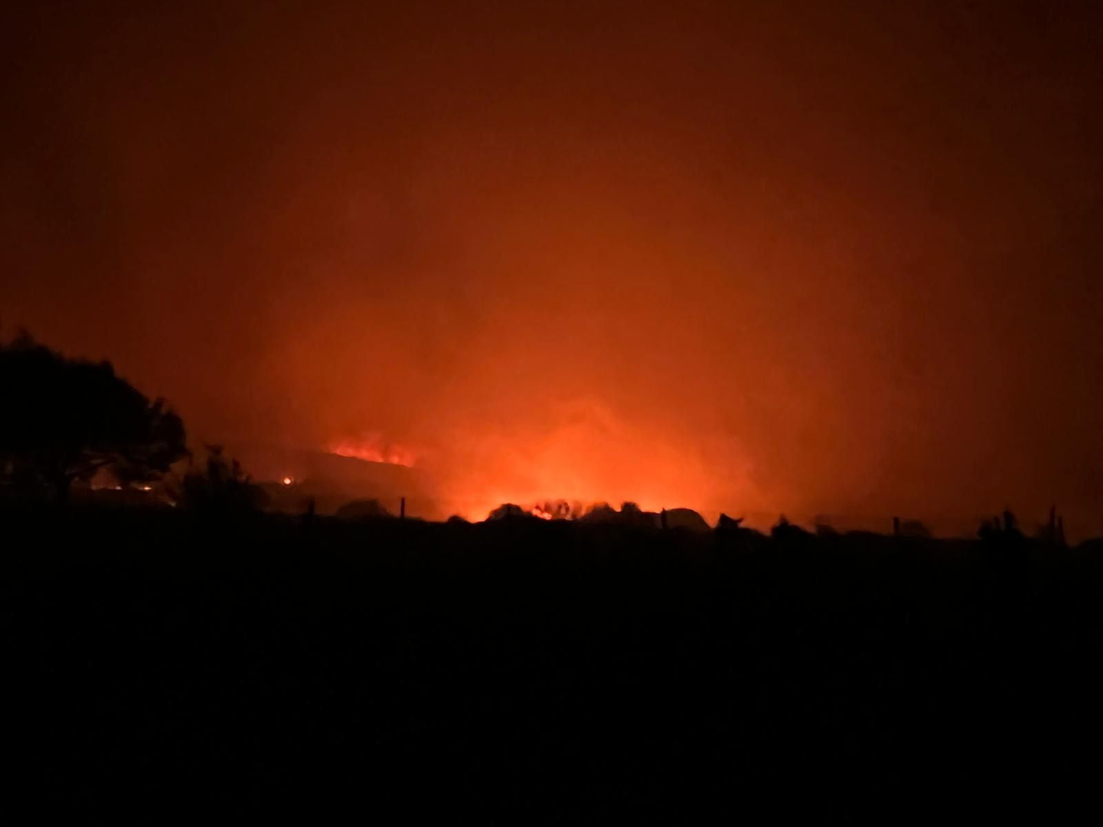 Incendio Forestal. Base Aérea del Maíllo, viernes 15 de julio de 2022- S24H