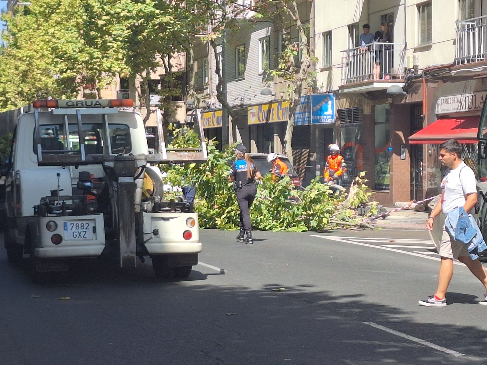 Un árbol cae sobre varios coches en Torres Villarroel