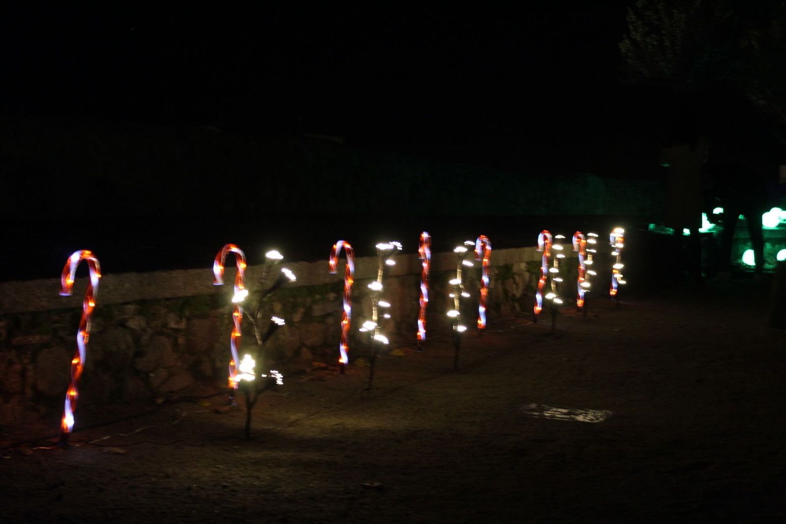 20231204212941-img-6422