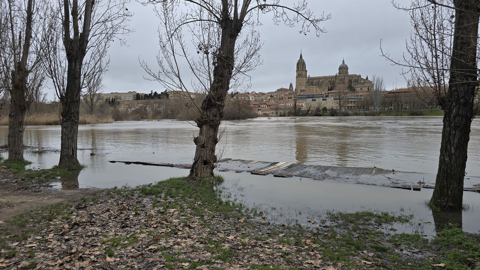 Crecida del rio Tormes a su paso por el Puente Enrique Esteban
