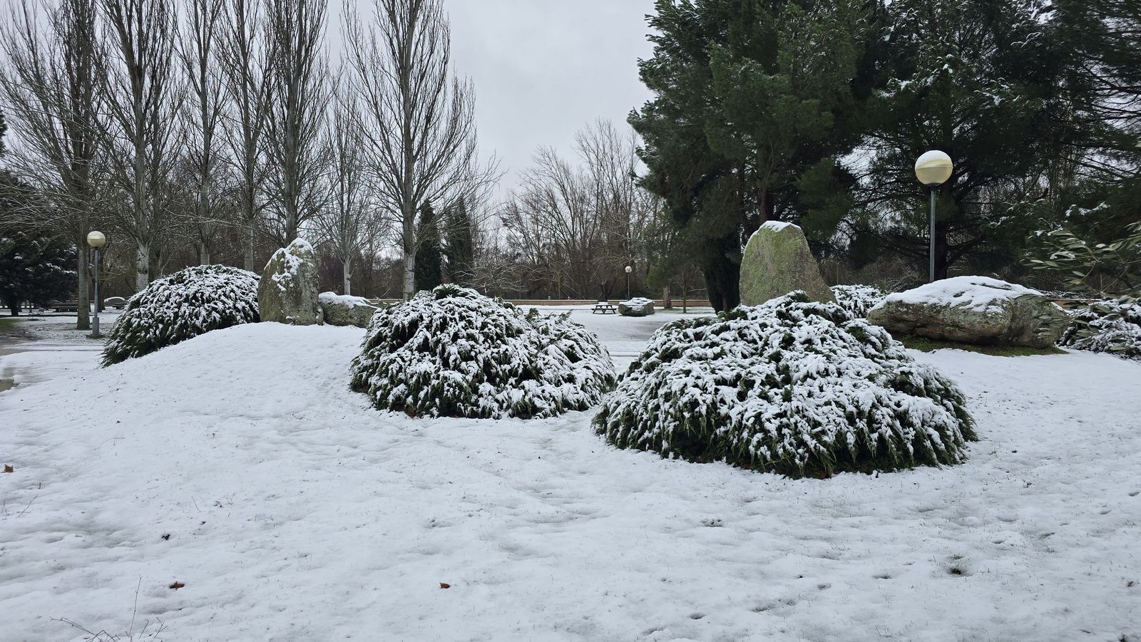 La nieve anega carreteras y tiñe de blanco Salamanca capital y provincia: imágenes de la nevada de este 28 de enero