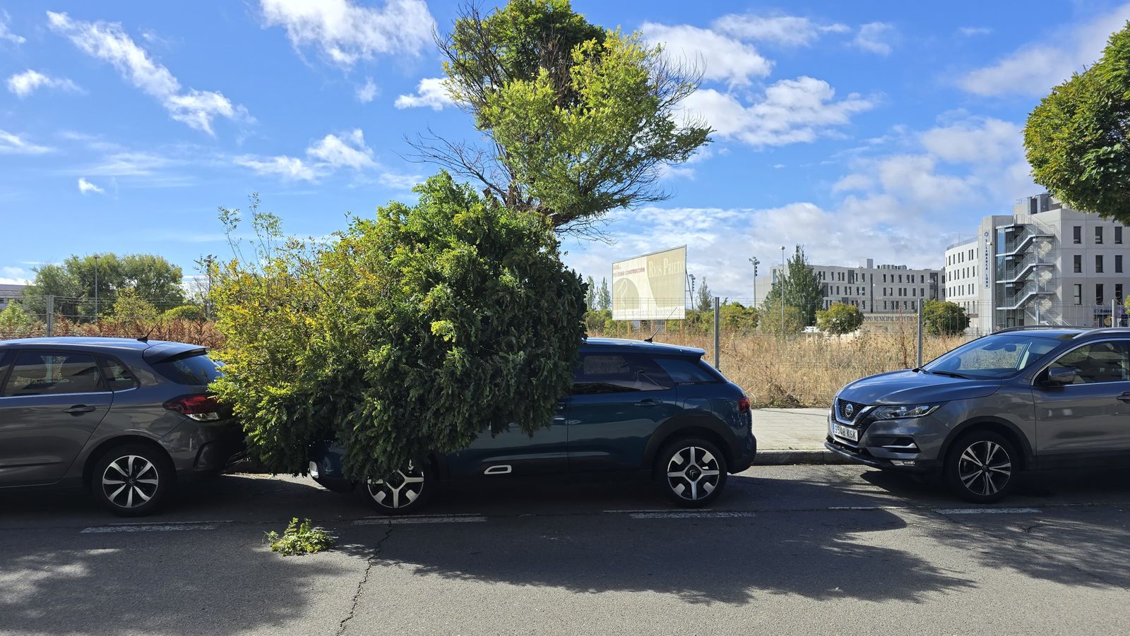 whatsapp-image-2024-10-09-at-12-44-28-1