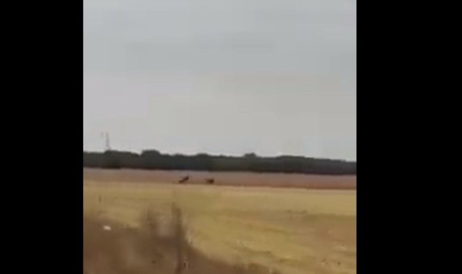 Un instante del vídeo