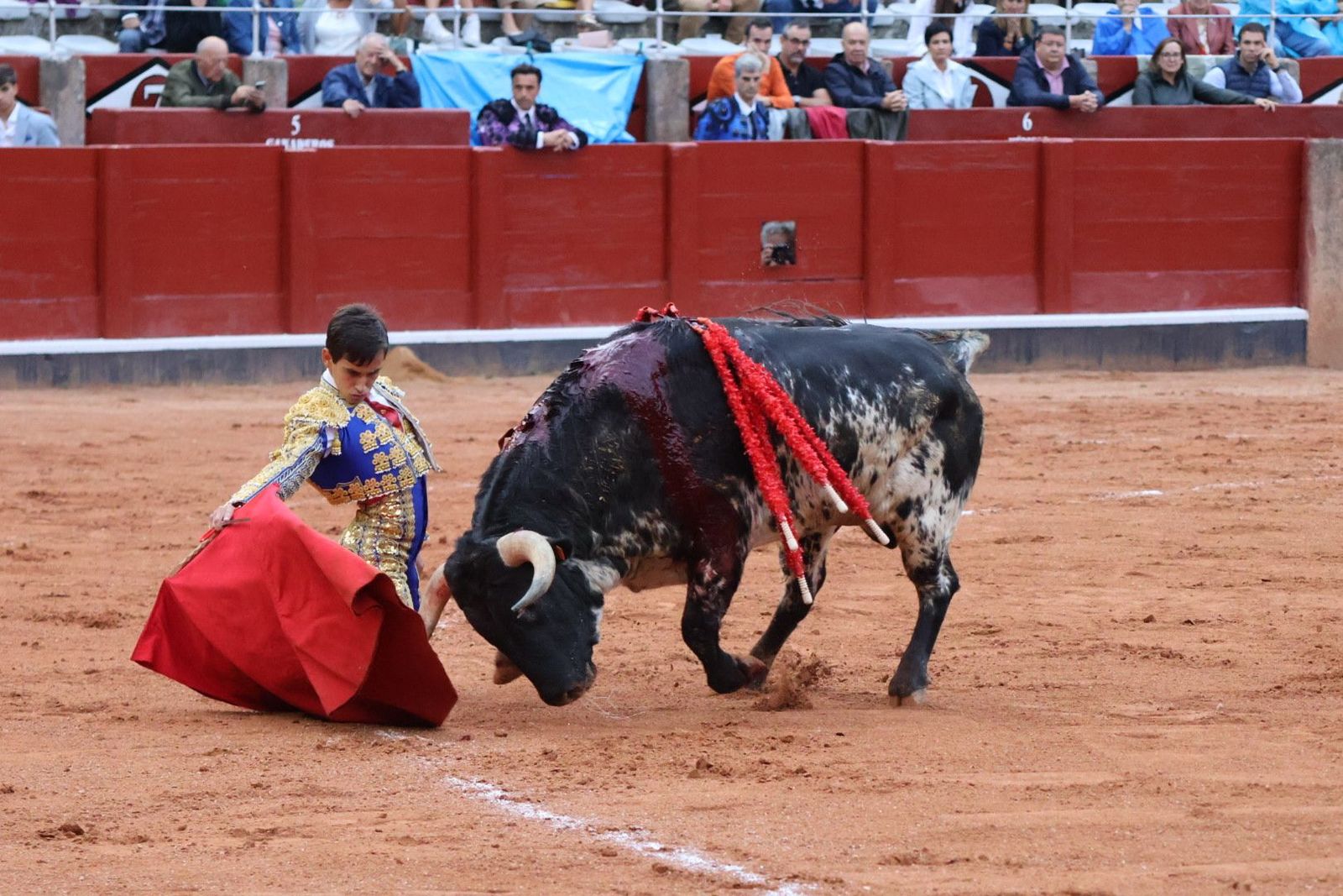 20230915185407-img-4223