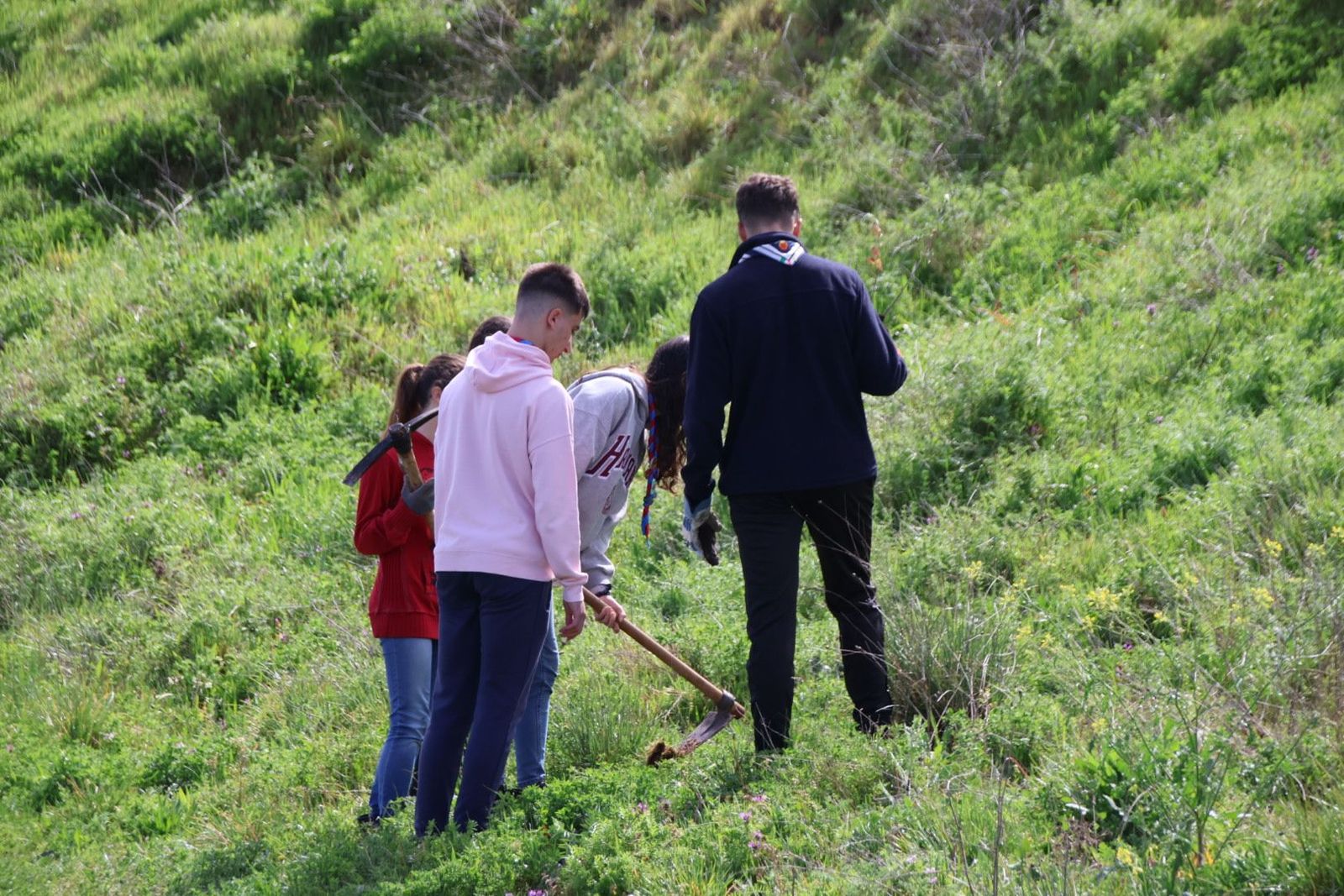 20240407111624-img-6915