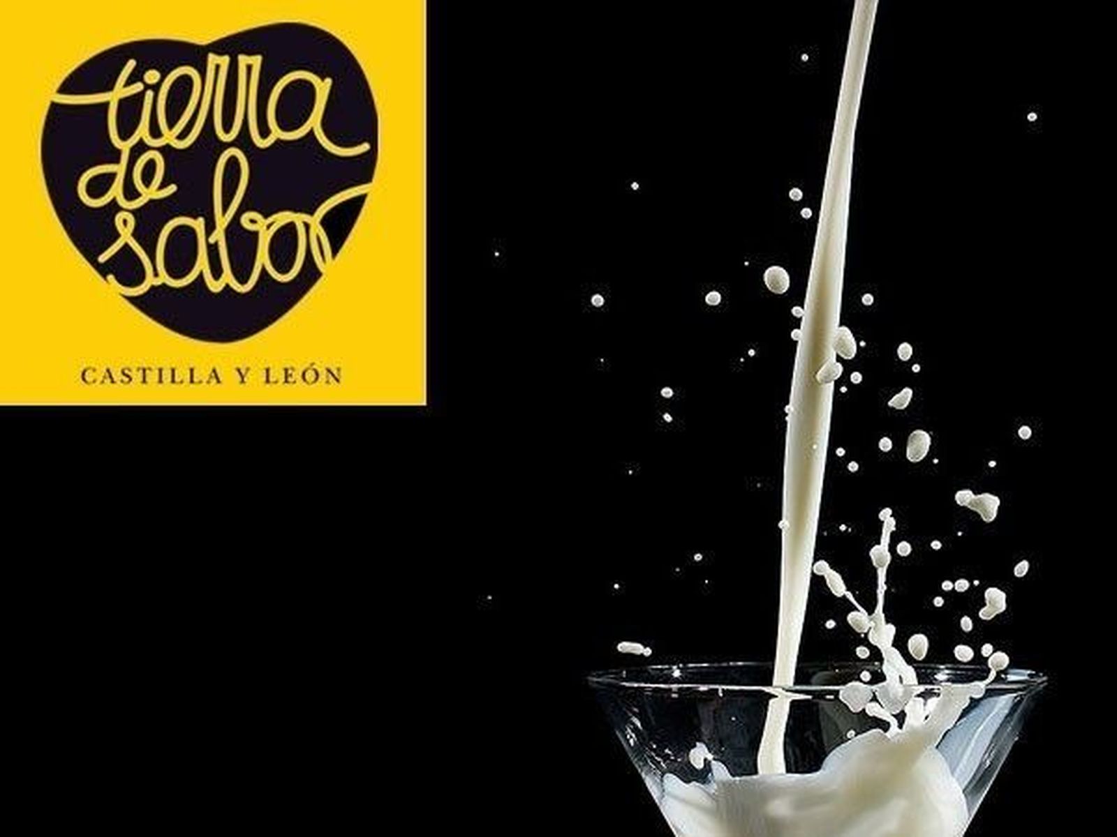 UPA y COAG apoyan la iniciativa de leche Tierra de Sabor