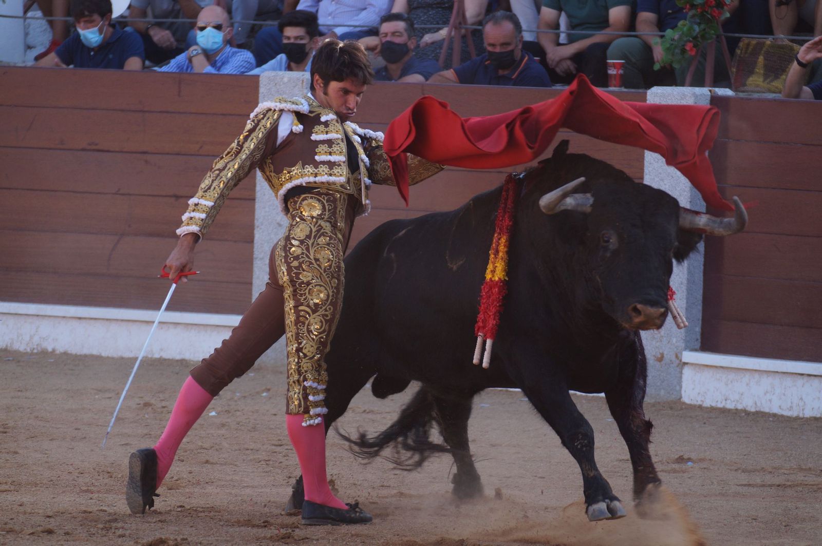 toros-en-guijuelo-15-de-agosto-60