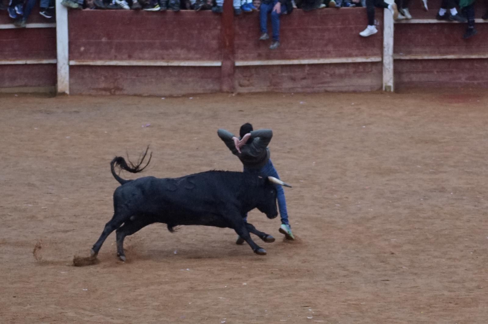 Capea matinal de domingo de carnaval en Ciudad Rodrigo (65).jpeg
