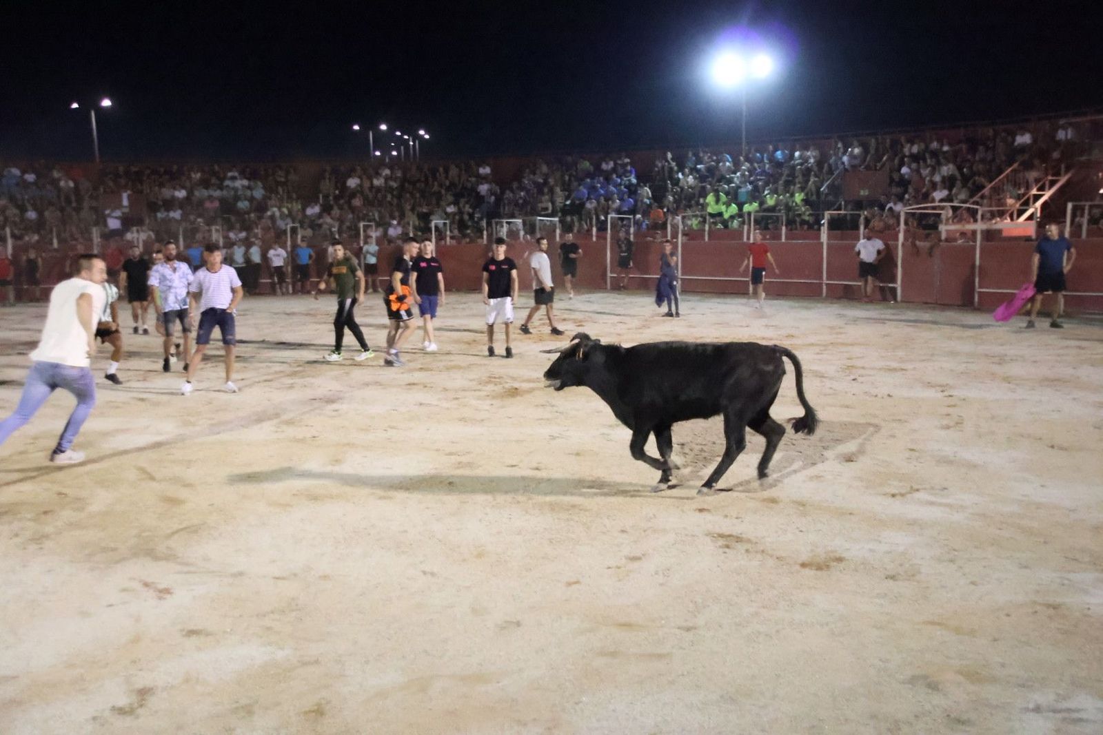 20230812212548-img-1249