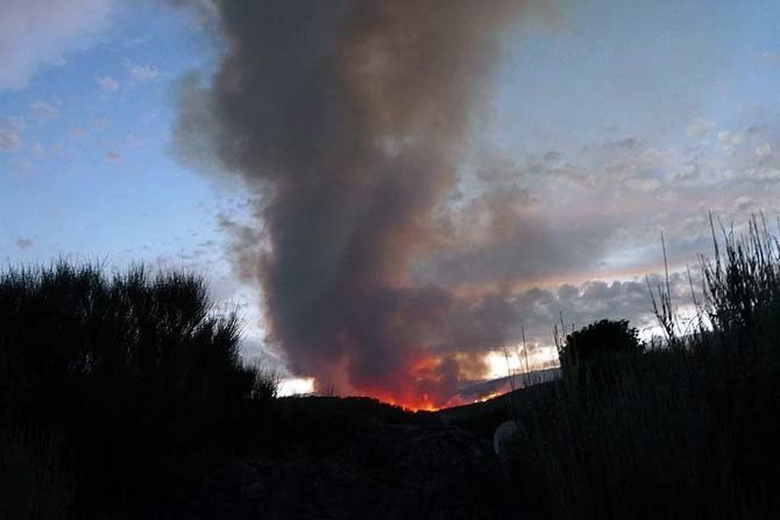 El fuego de Gredos ha afectado a 500 hectáreas
