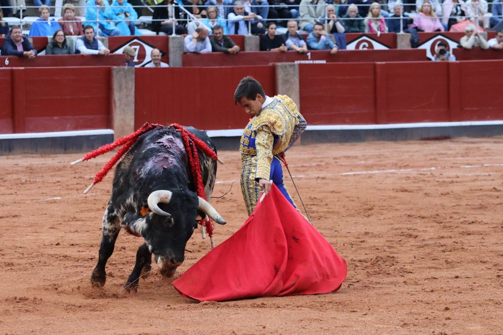 20230915185615-img-4238