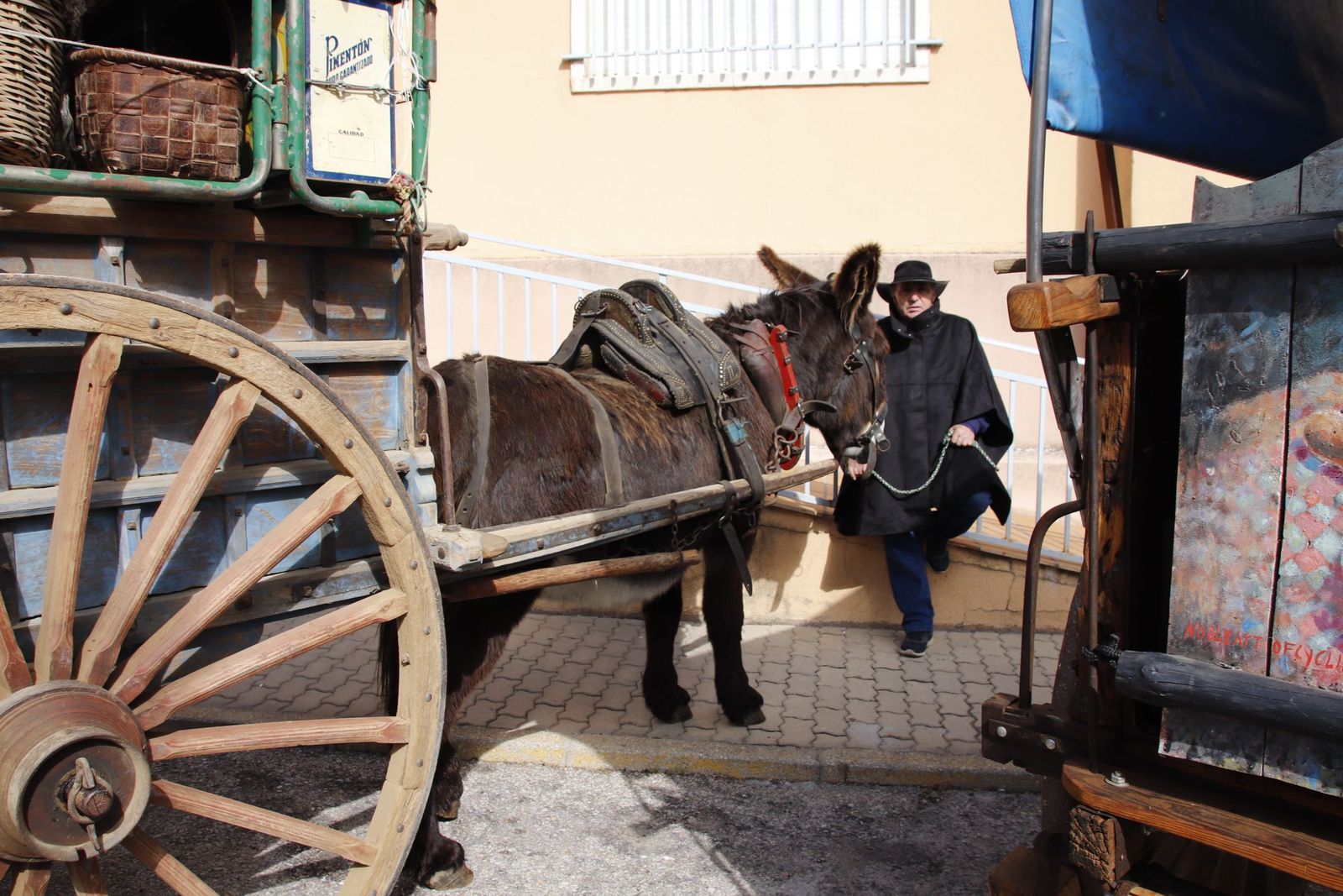 20220219130833-mg-8019