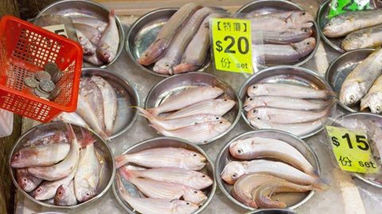 mercado pescaderia. Archivo. OCU