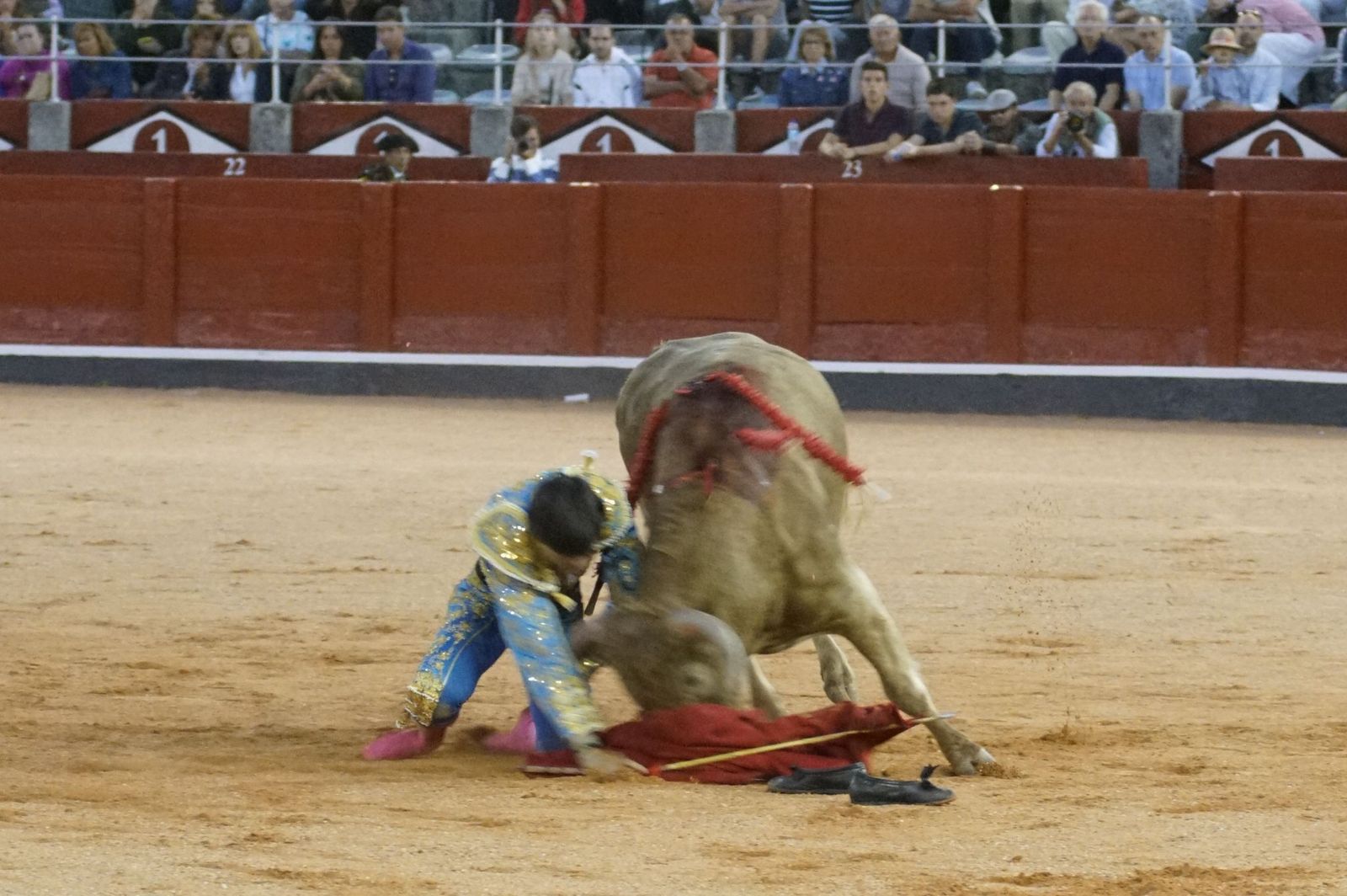 Clase práctica con alumnos de la Escuela de Tauromaquia de Salamanca (Diego Mateos, Noel García y Álvaro Rojo con erales de Esteban Isidro)