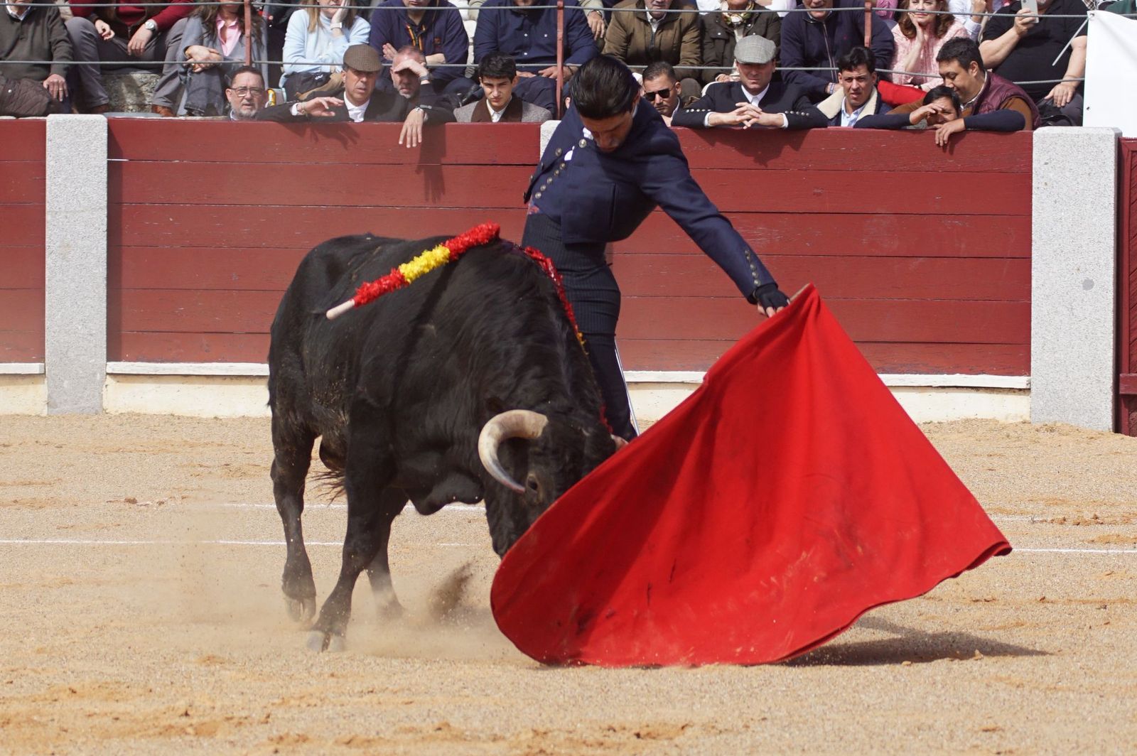 Festival taurino solidario por la esclerosis múltiple en Guijuelo