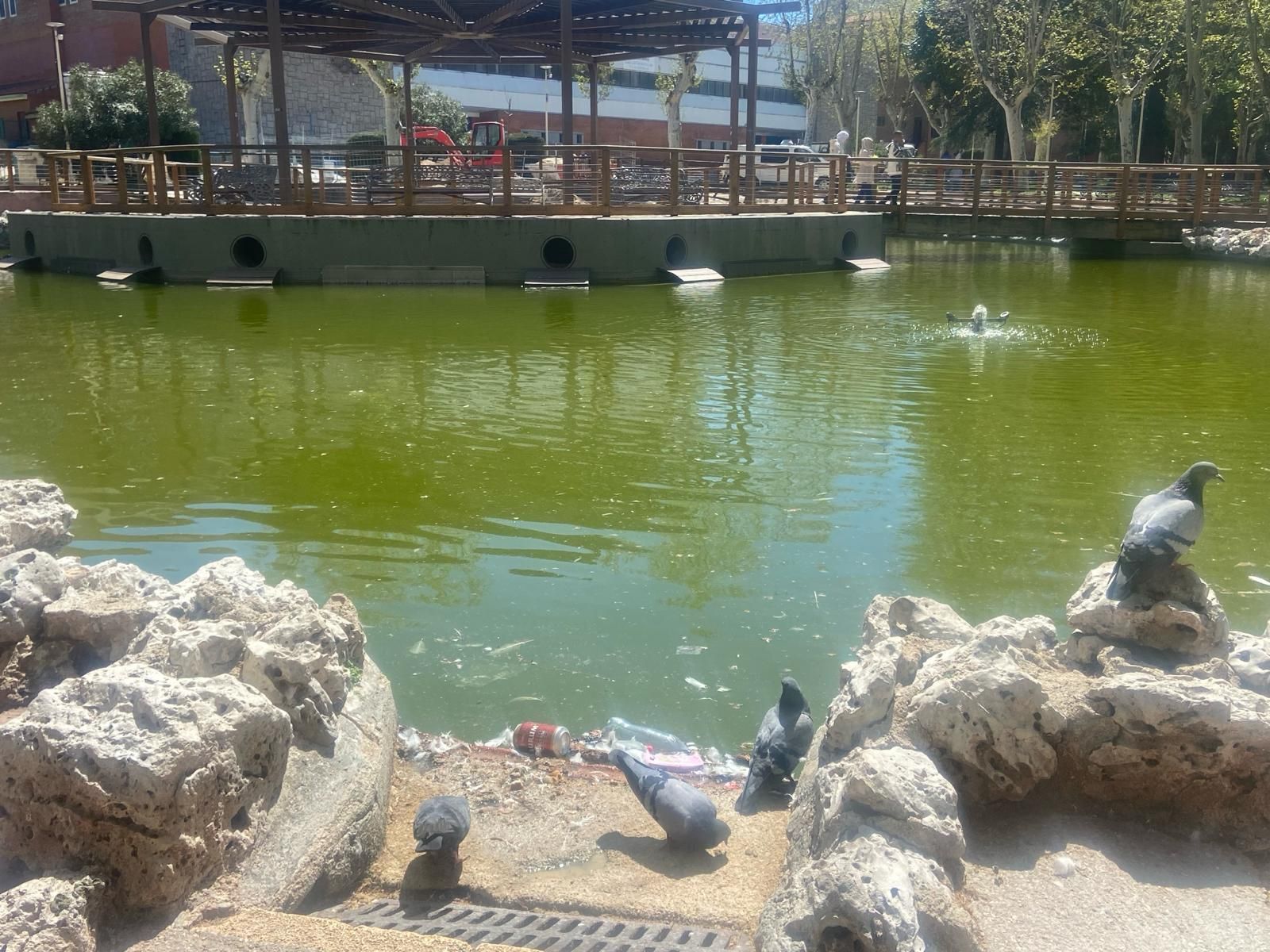 Suciedad en el estanque del parque de La Alamedilla