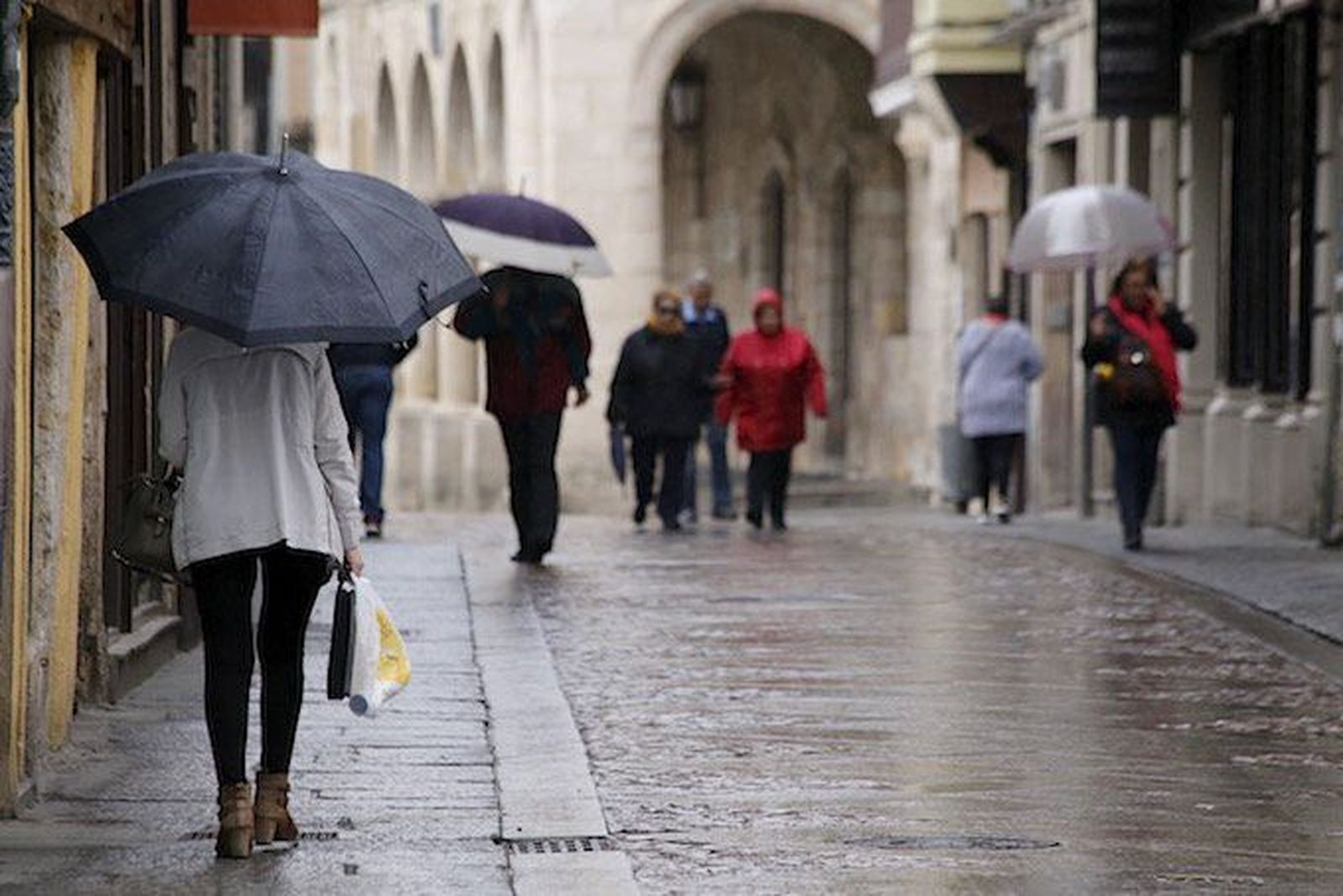 Llega la lluvia Llega la lluvia