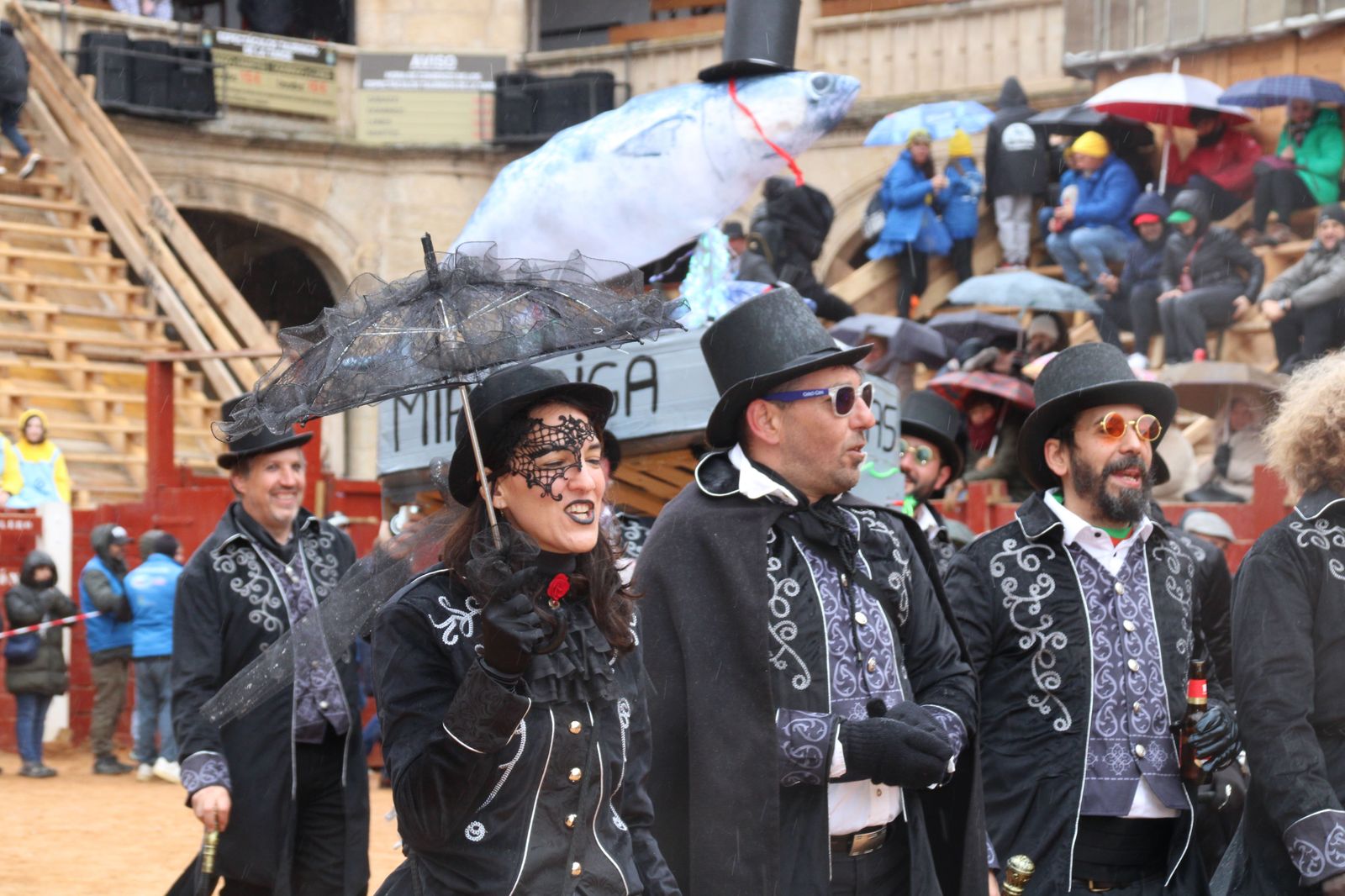 desfile-disfraz-callejero-sabado-carnaval-ciudad-rodrigo-2025-55