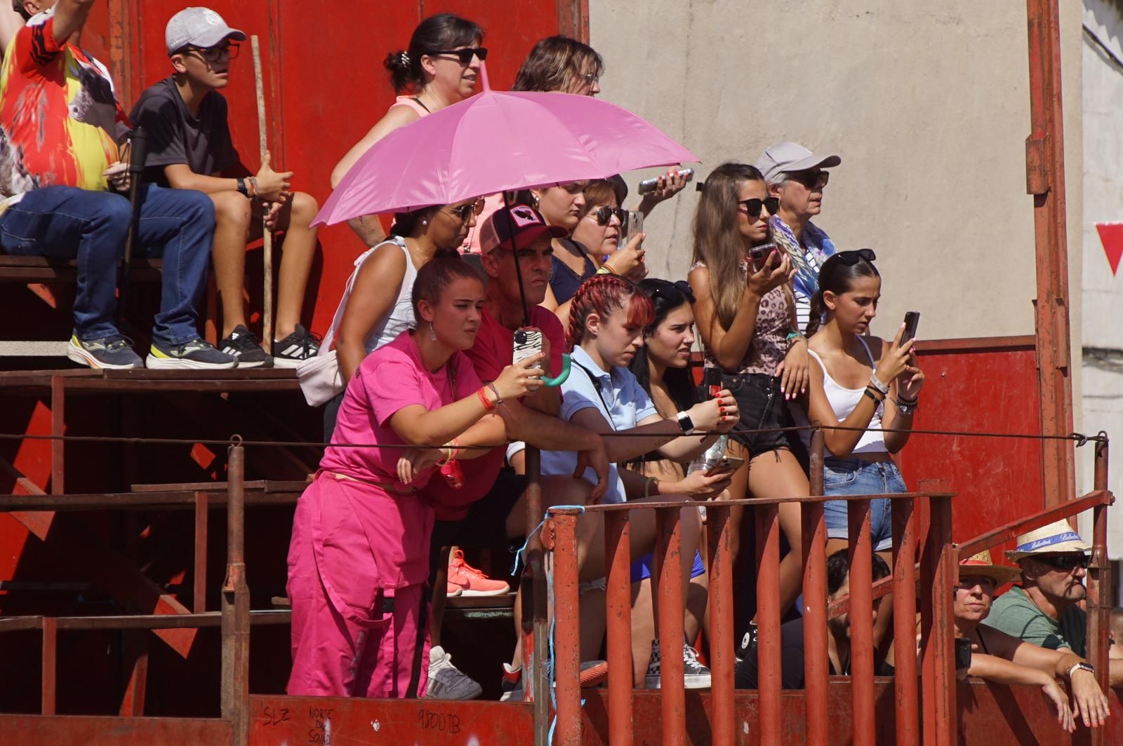 toro-de-cajon-de-castrillo-de-la-guarena-fotos-juanes-31