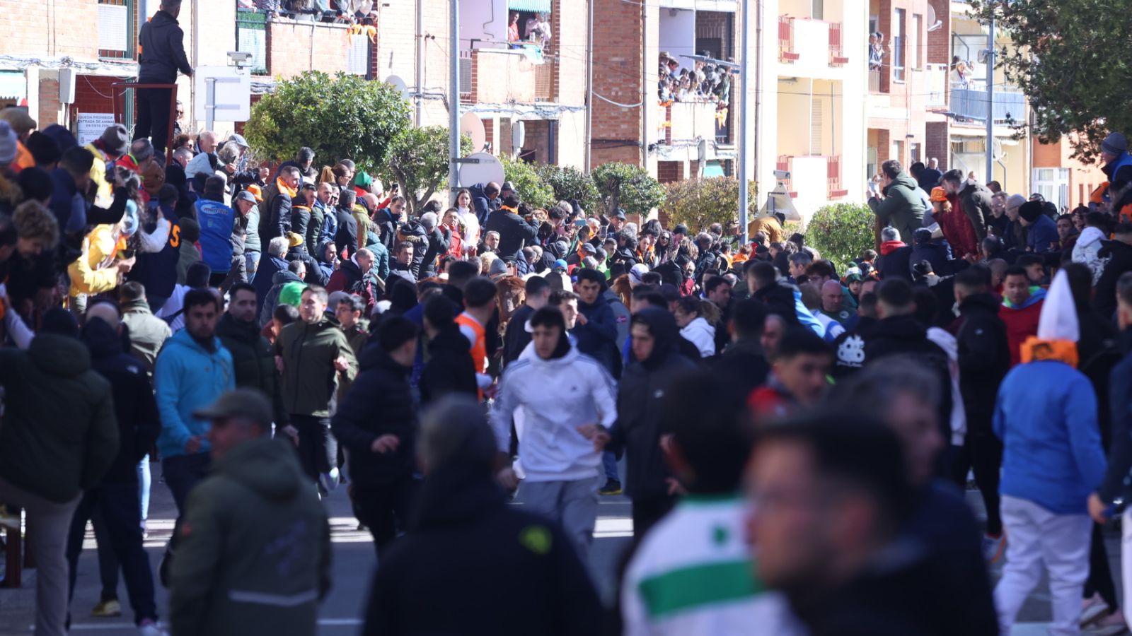 Encierro del sábado en el Carnaval del toro 2026 de Ciudad Rodrigo