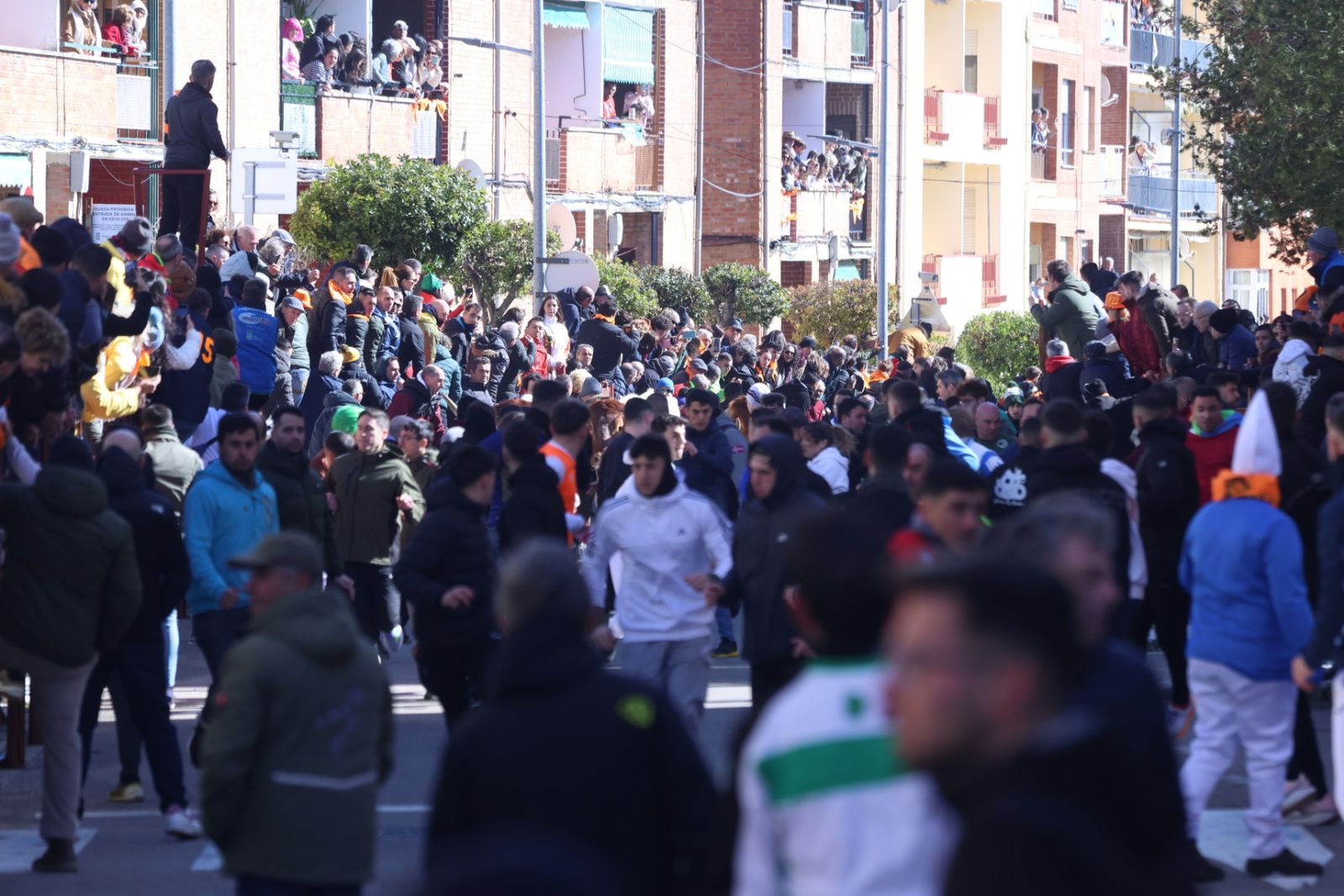 Encierro de sábado en el Carnaval del toro 2026 de Ciudad Rodrigo