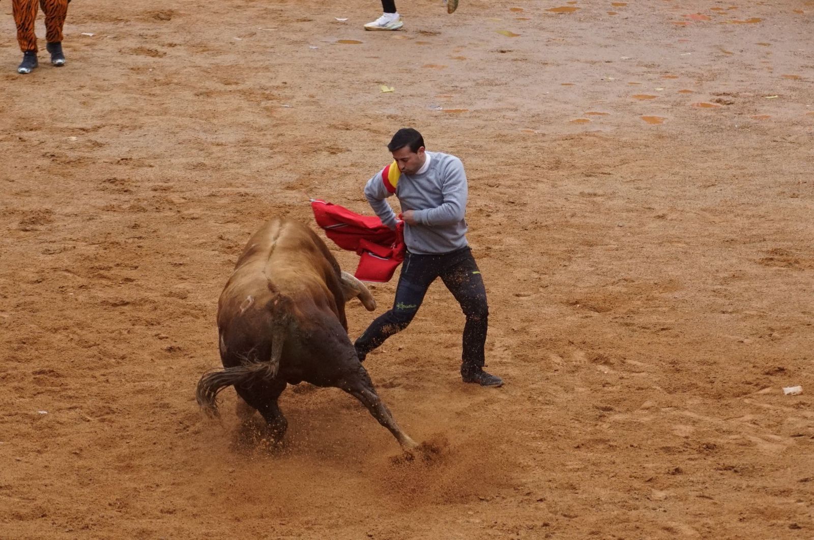 whatsapp-image-2025-03-03-at-14-50-27-4