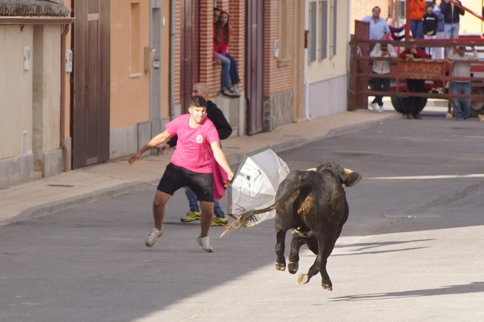 whatsapp-image-2024-09-08-at-14-04-55