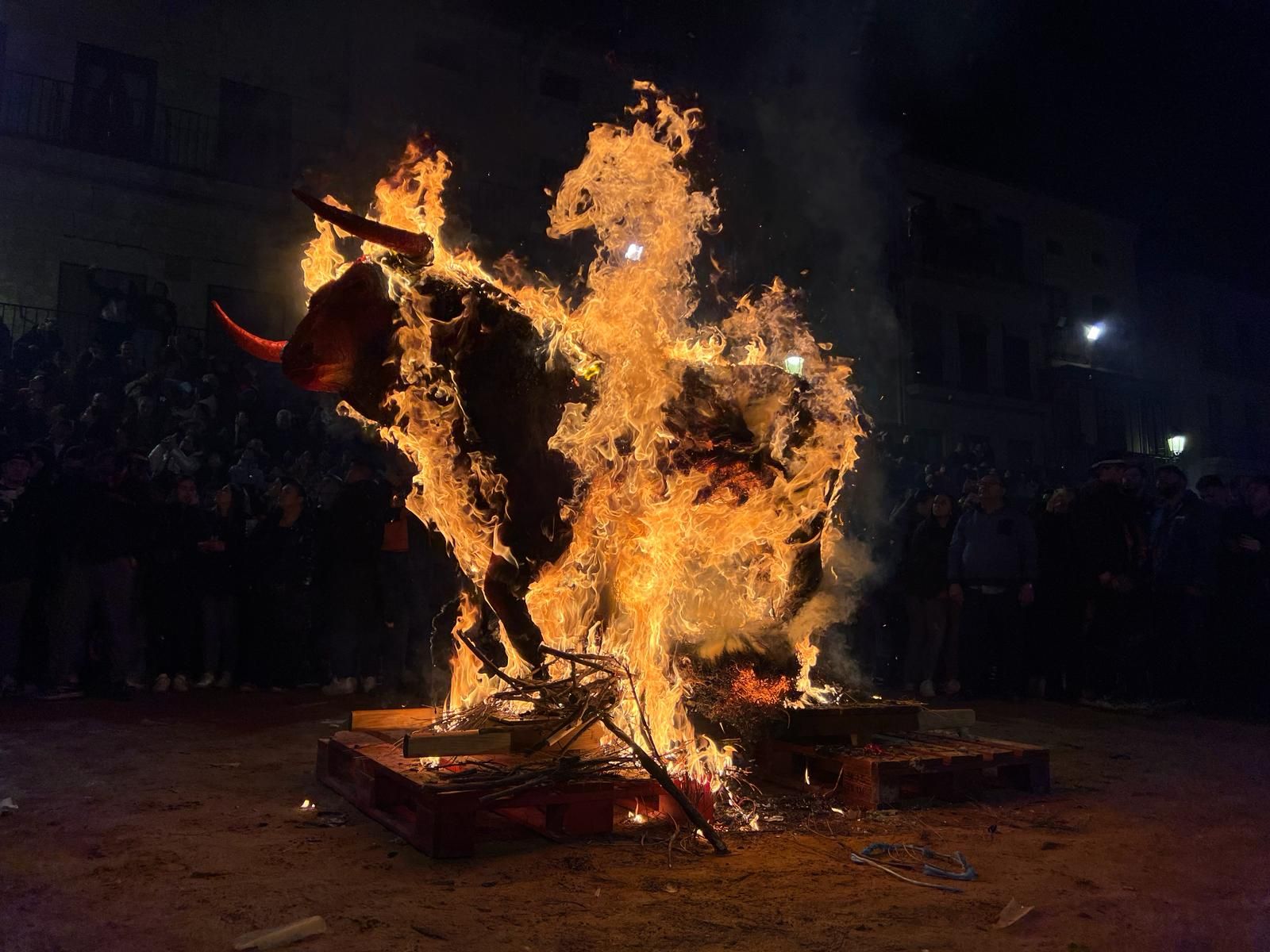 VÍDEO | Quema del toro de cenizos y petición de cenizos en Ciudad Rodrigo. Verónica Tapia