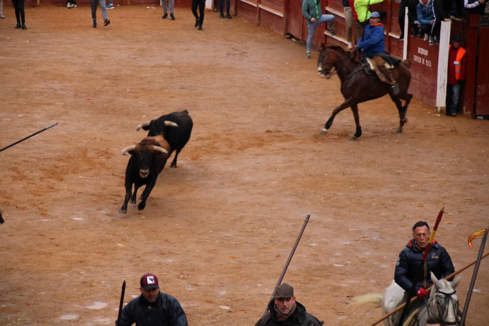 whatsapp-image-2024-02-11-at-11-41-49-12