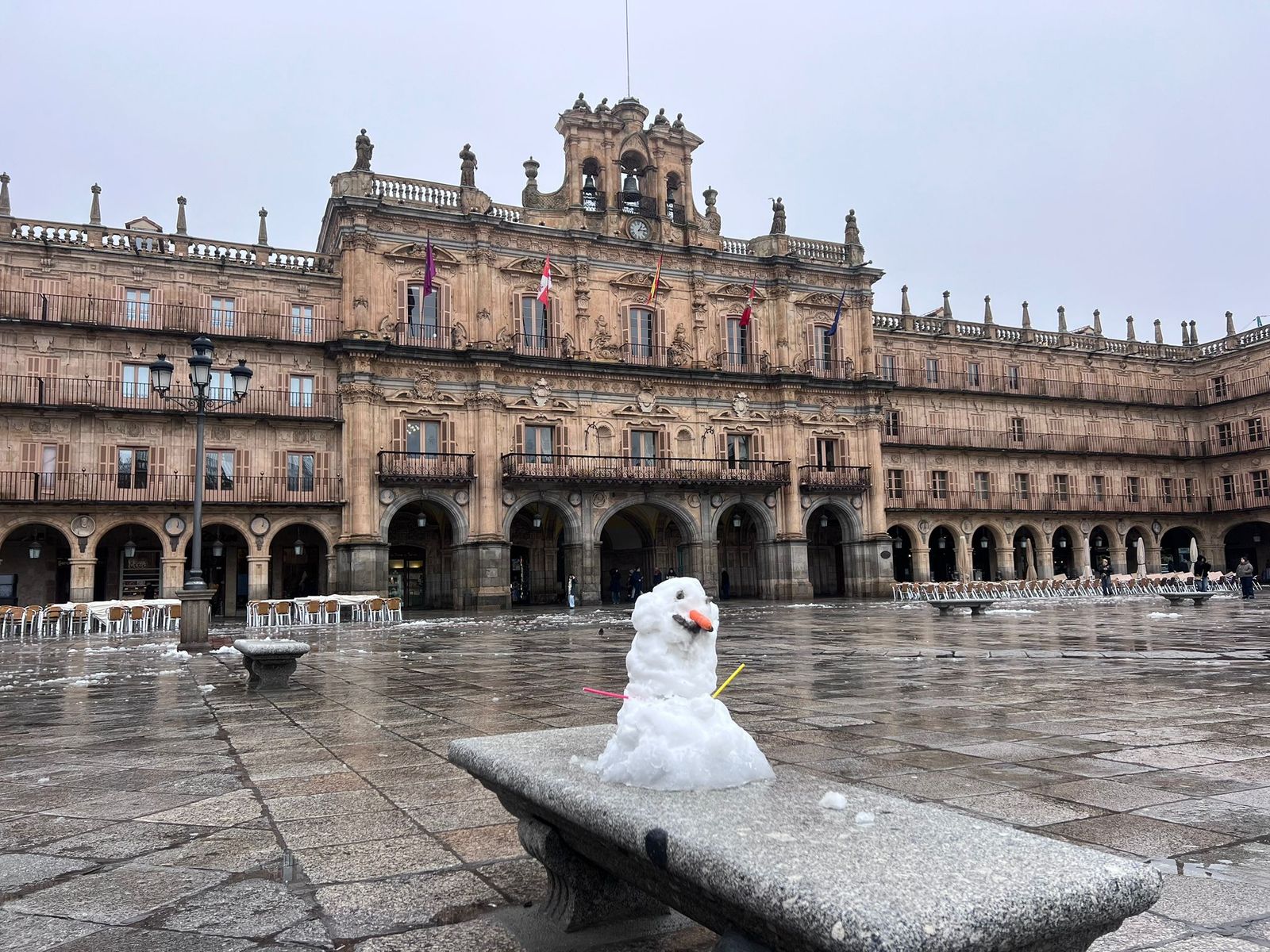 La nieve anega carreteras y tiñe de blanco Salamanca capital y provincia: imágenes de la nevada de este 28 de enero