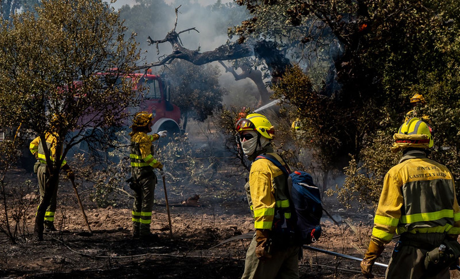 El fuego quema una zona de pasto en los entornos de la N-620 y la A-62 en Valdecarpinteros