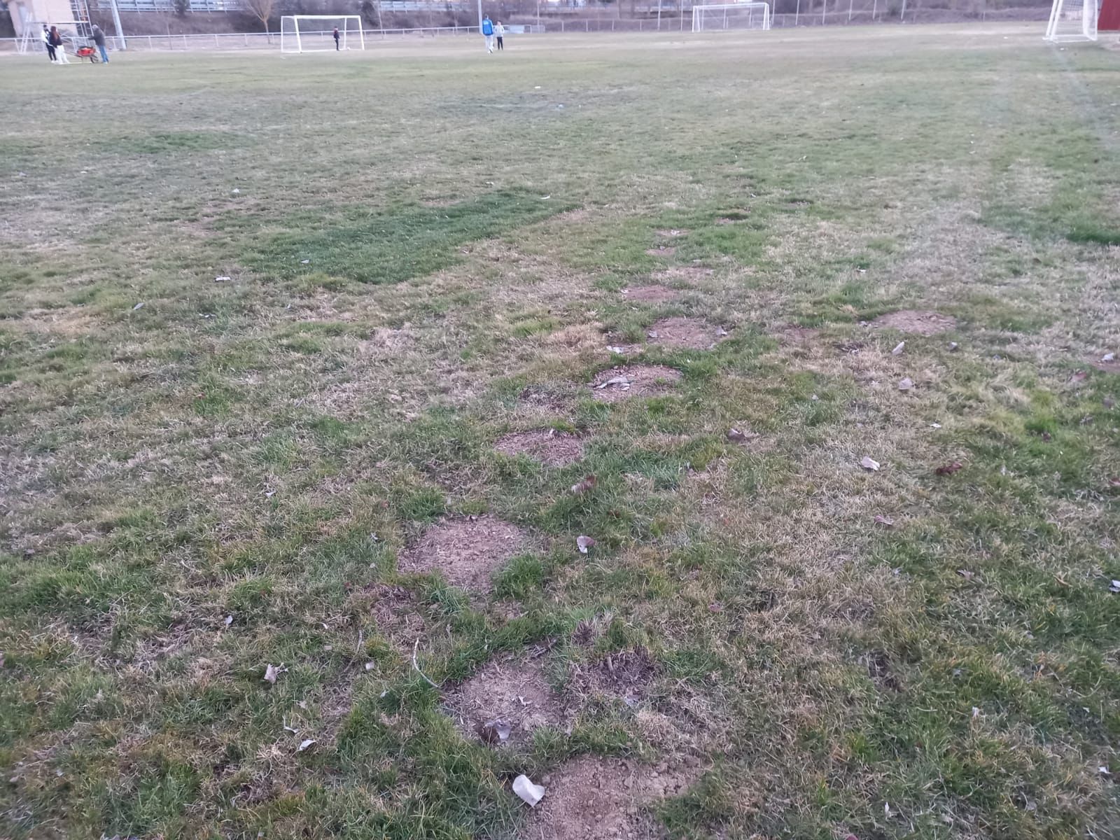 Zonas afectadas en el campo de Camarzana