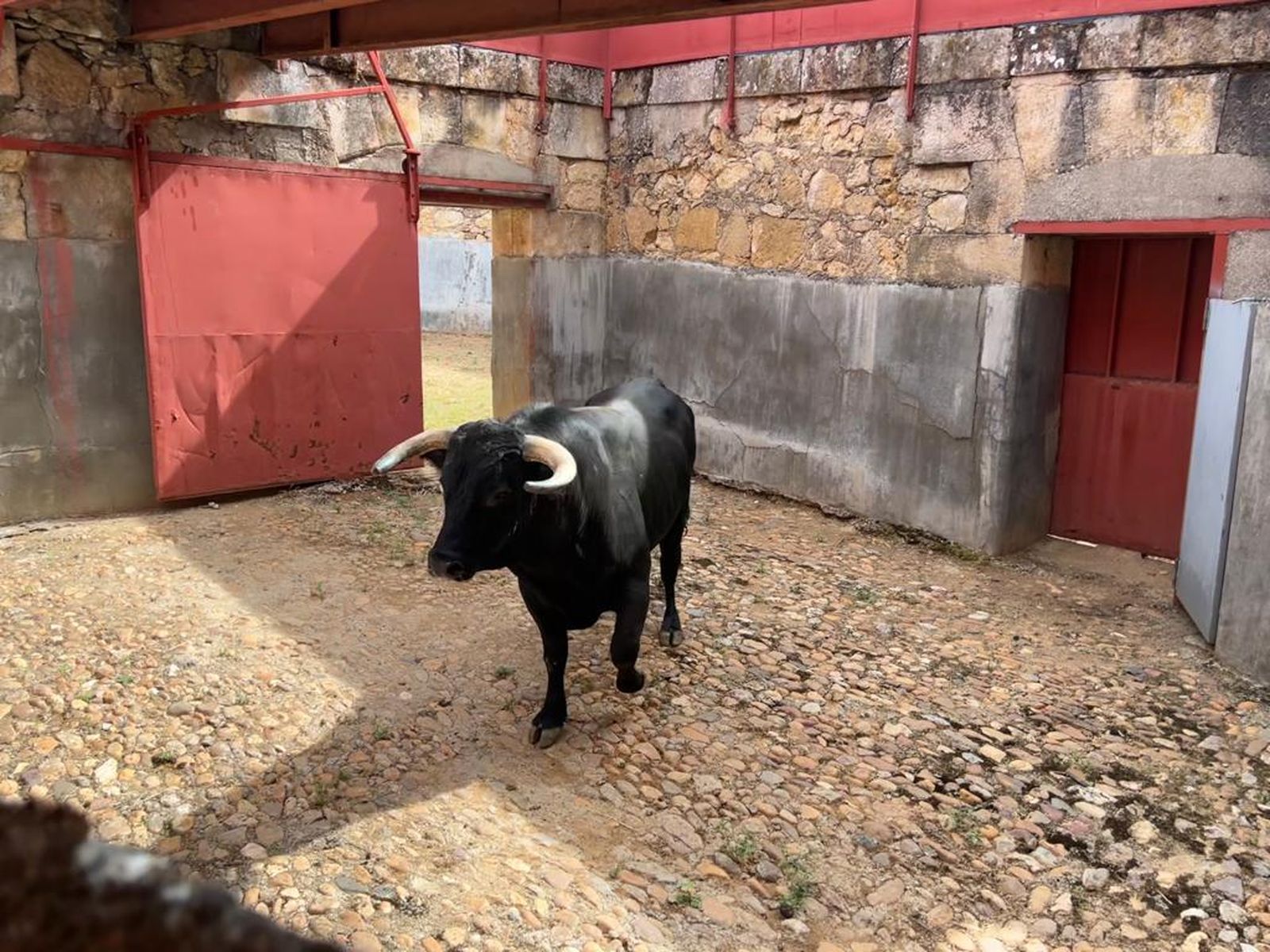 whatsapp-image-2023-09-09-at-12-26-47