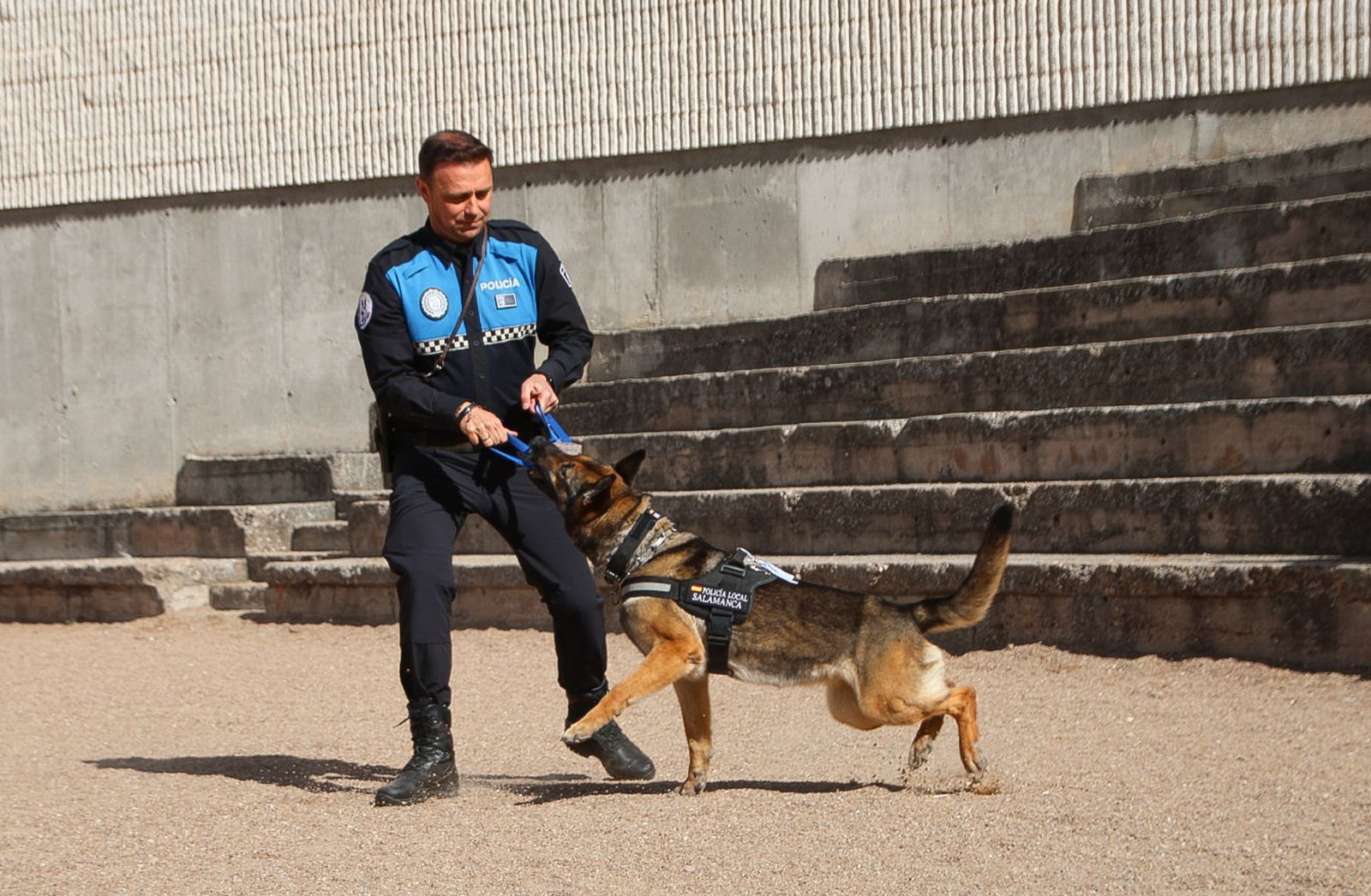 Reportaje perros Policía Local "semillas de conciencia"