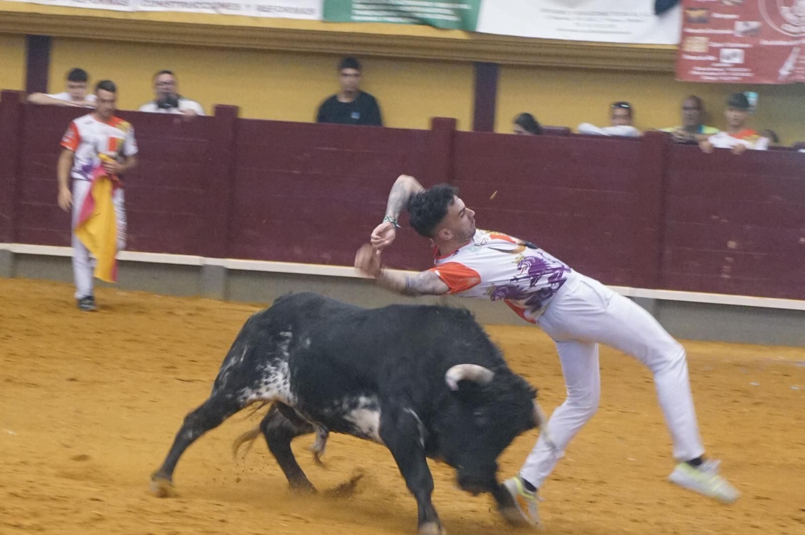 Alba de Tormes celebra un nuevo concurso de cortes