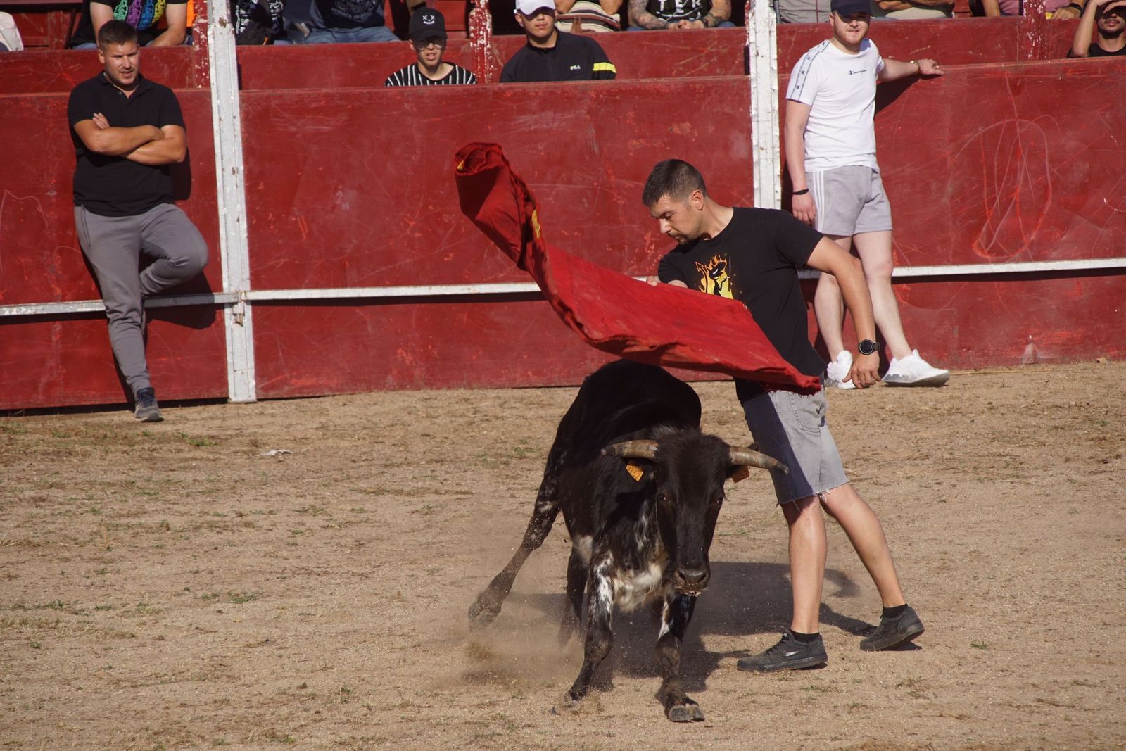 capea-fiestas-de-carrascal-de-barregas-13