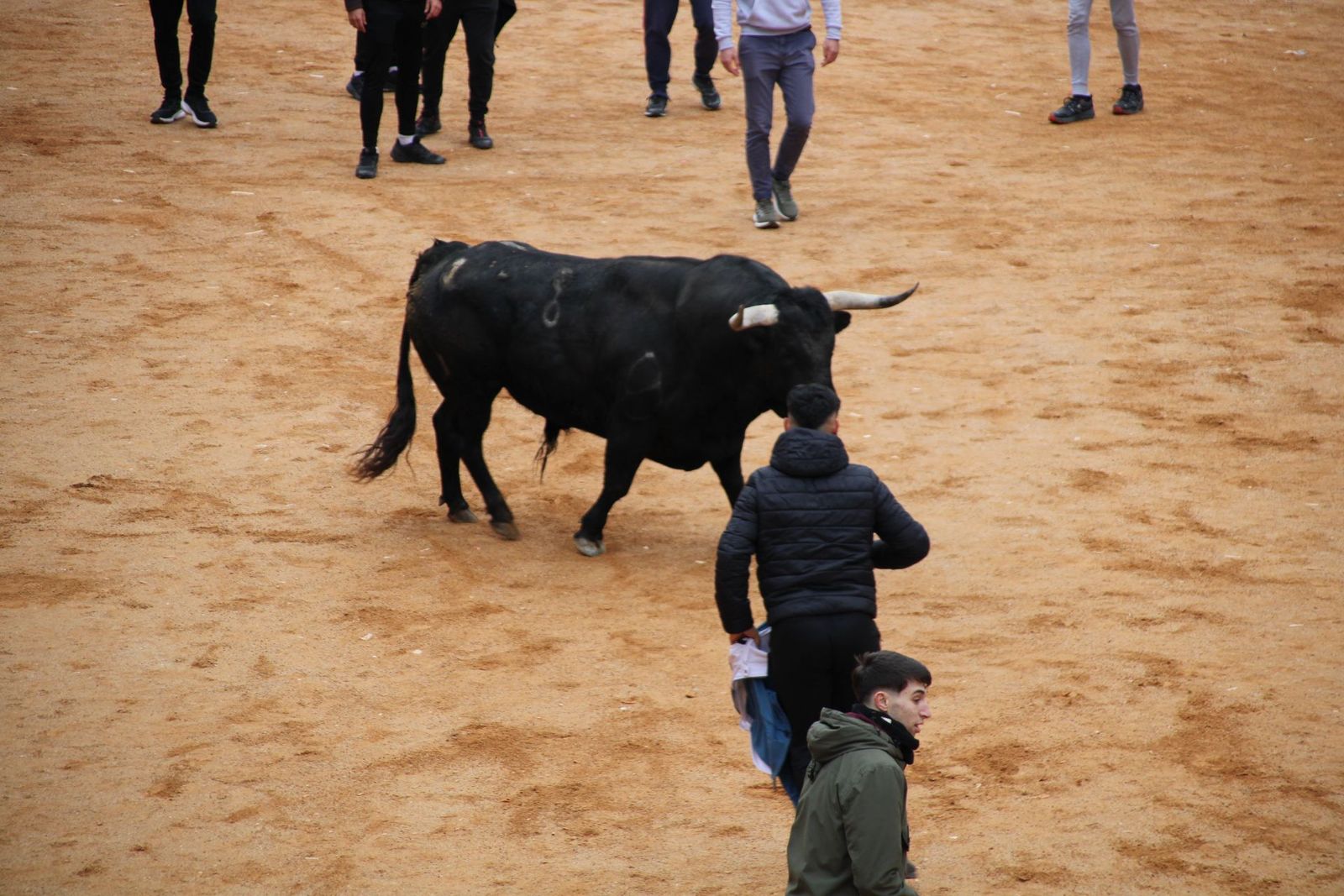 whatsapp-image-2025-03-01-at-13-18-38-5