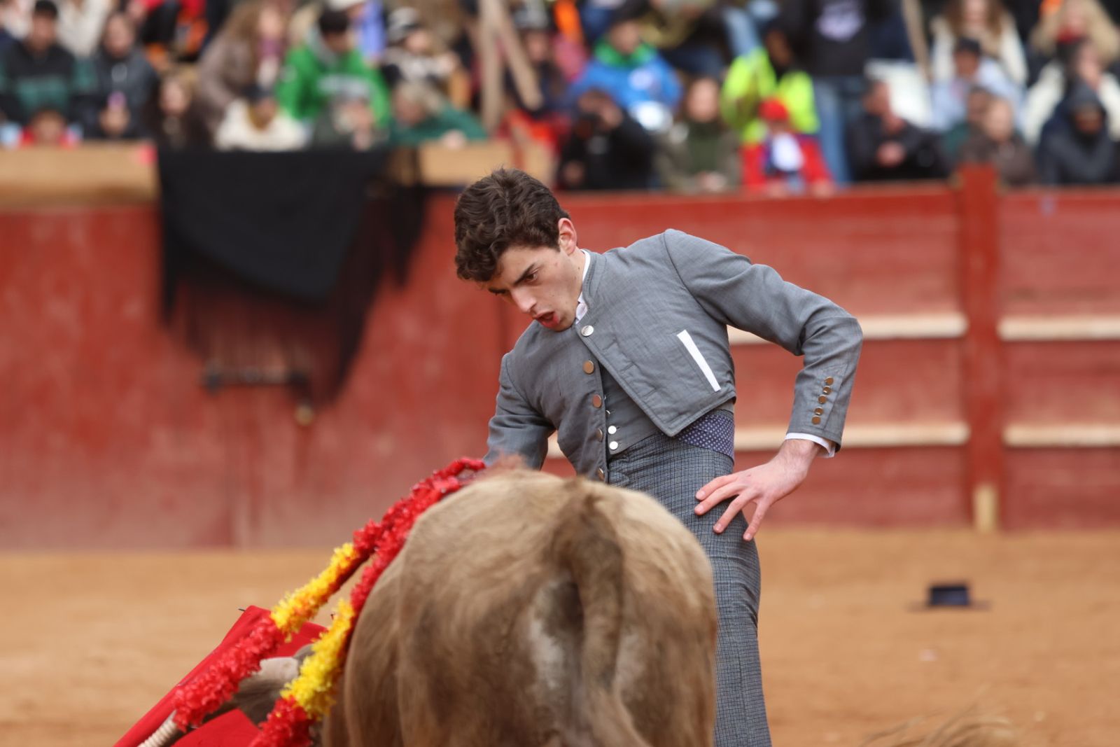 Novillada sin picadores del bolsín taurino y rejones en Ciudad Rodrigo