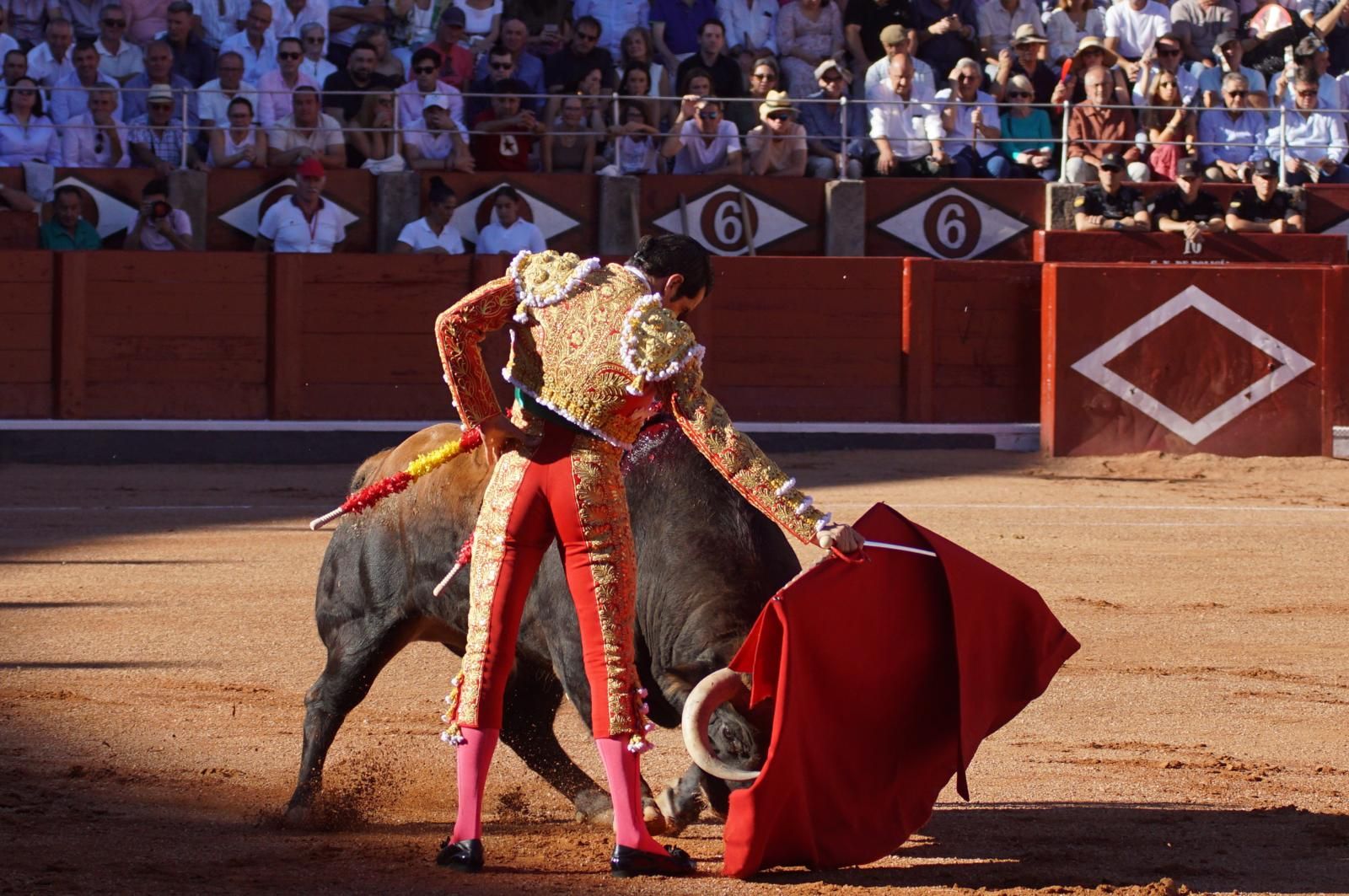 Emilio de Justo, Juan Ortega y Roca Rey inauguran el cartel de figuras en la feria de Salamanca: la corrida de Garcigrande en imágenes