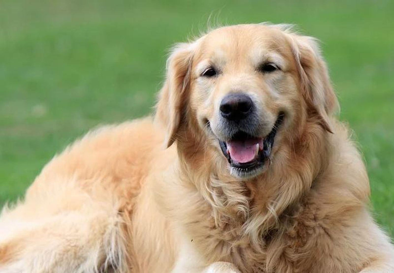 Captura de pantalla 2019 11 27 a las 17.33.42