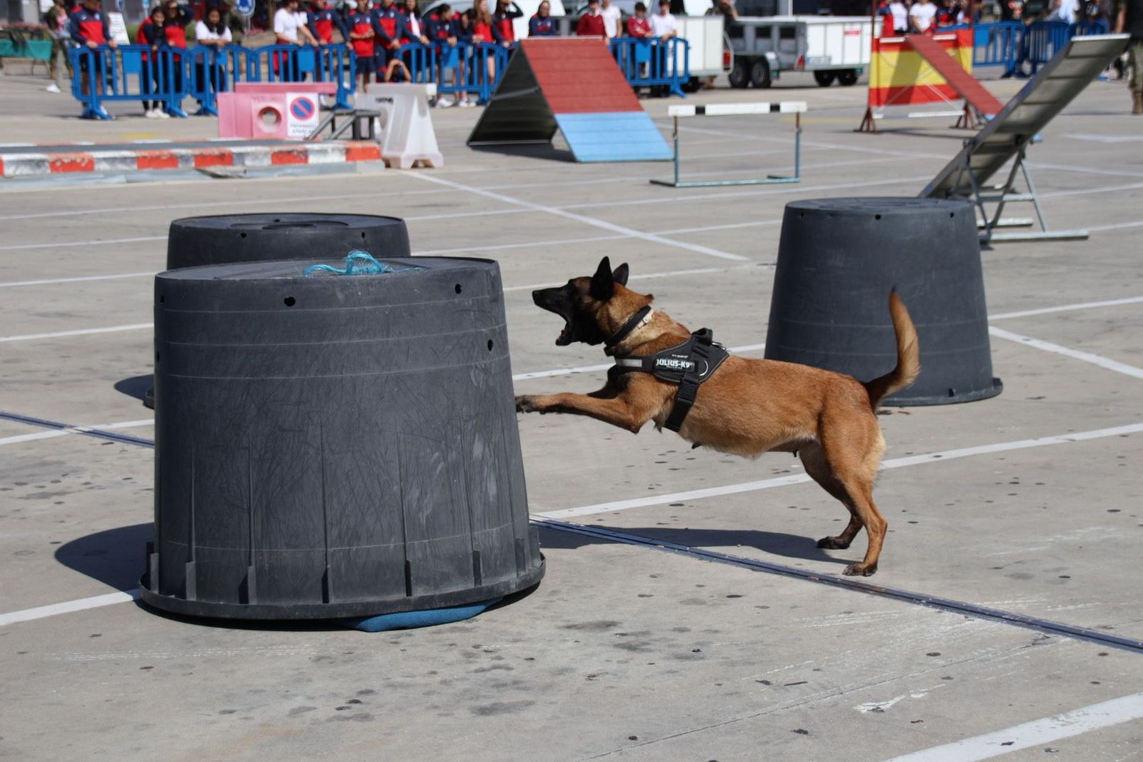 20230608103113-img-0451