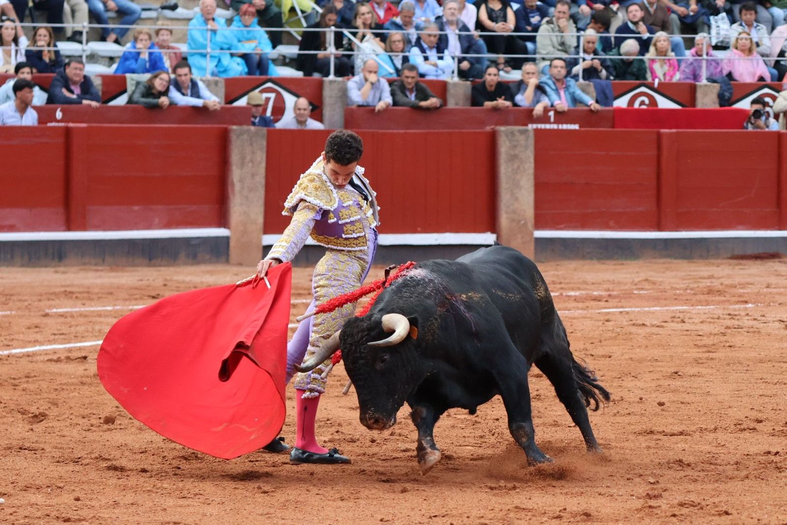 20230915182925-img-4126