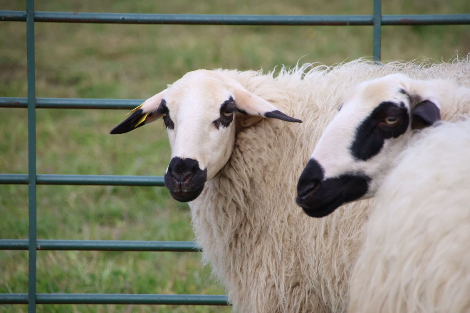 20240501103503-img-2925