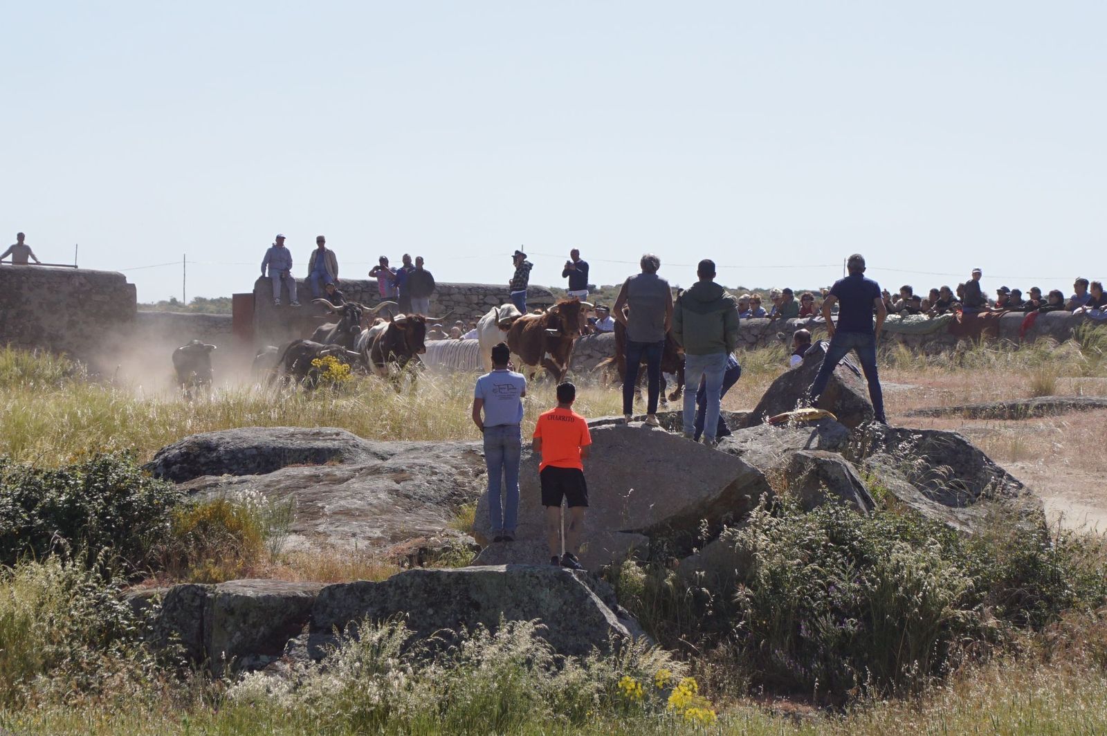 espantos-en-ledesma-domingo-2-de-junio-foto-juanes-81