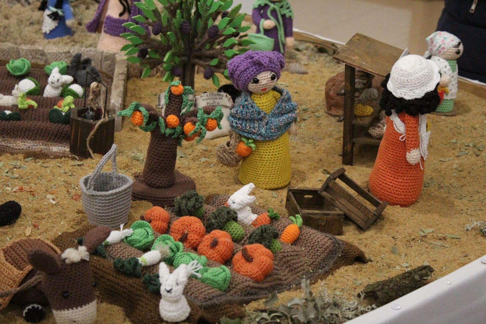 20231205185524-img-6579