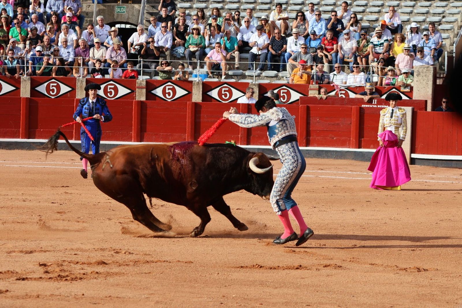 20230910174148-img-1845