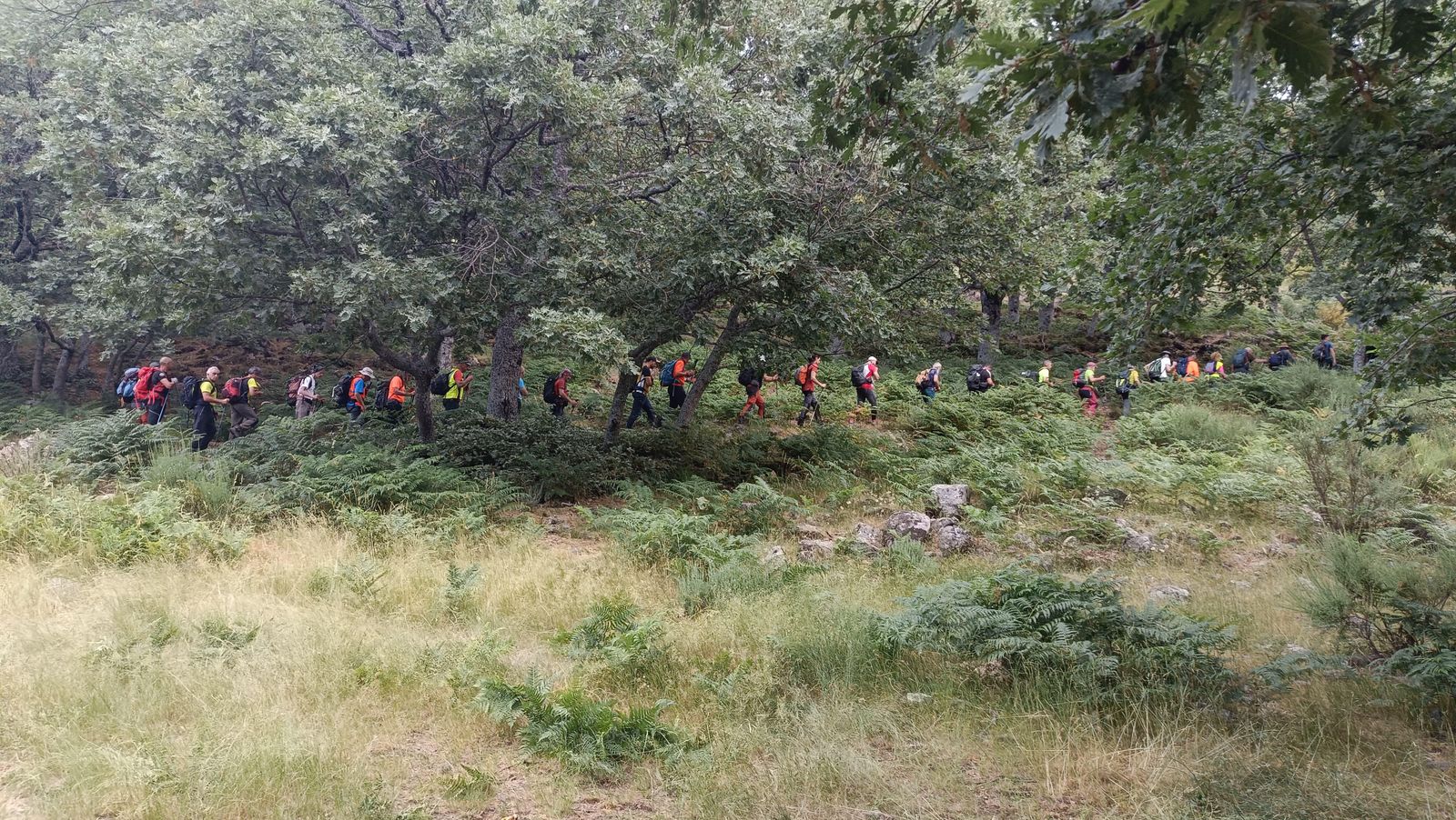 whatsapp-image-2025-06-22-at-15-32-27