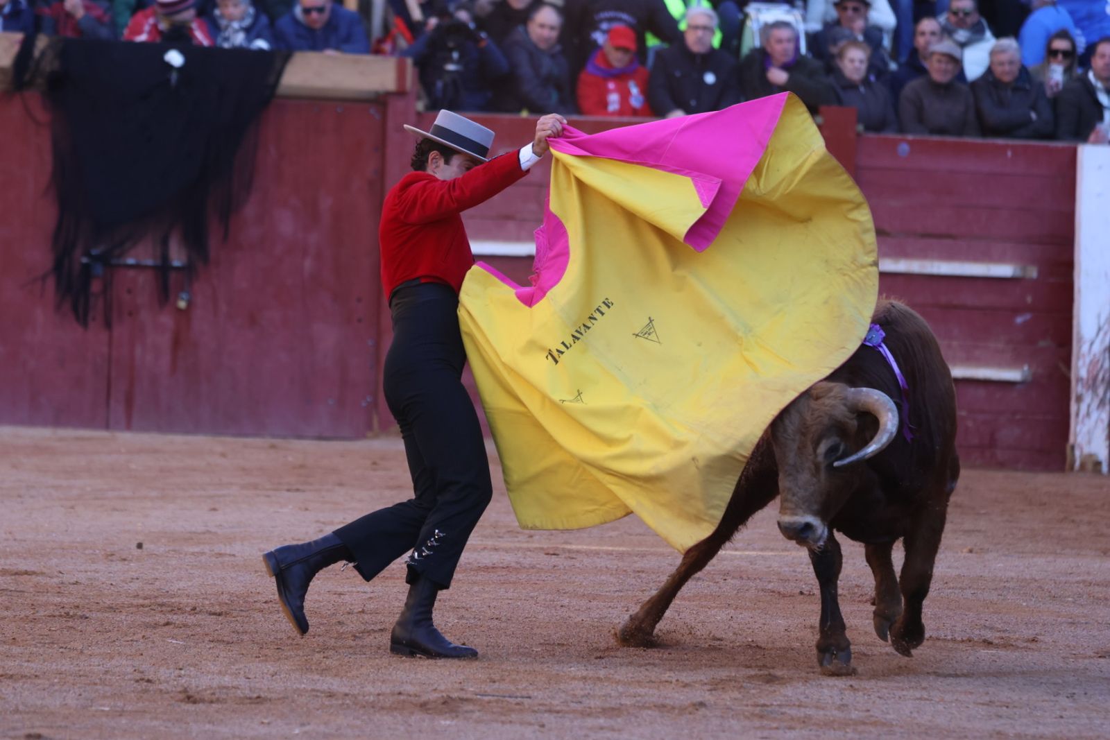 Festival taurino del Sábado en el Carnaval del Toro 2026 de Ciudad Rodrigo