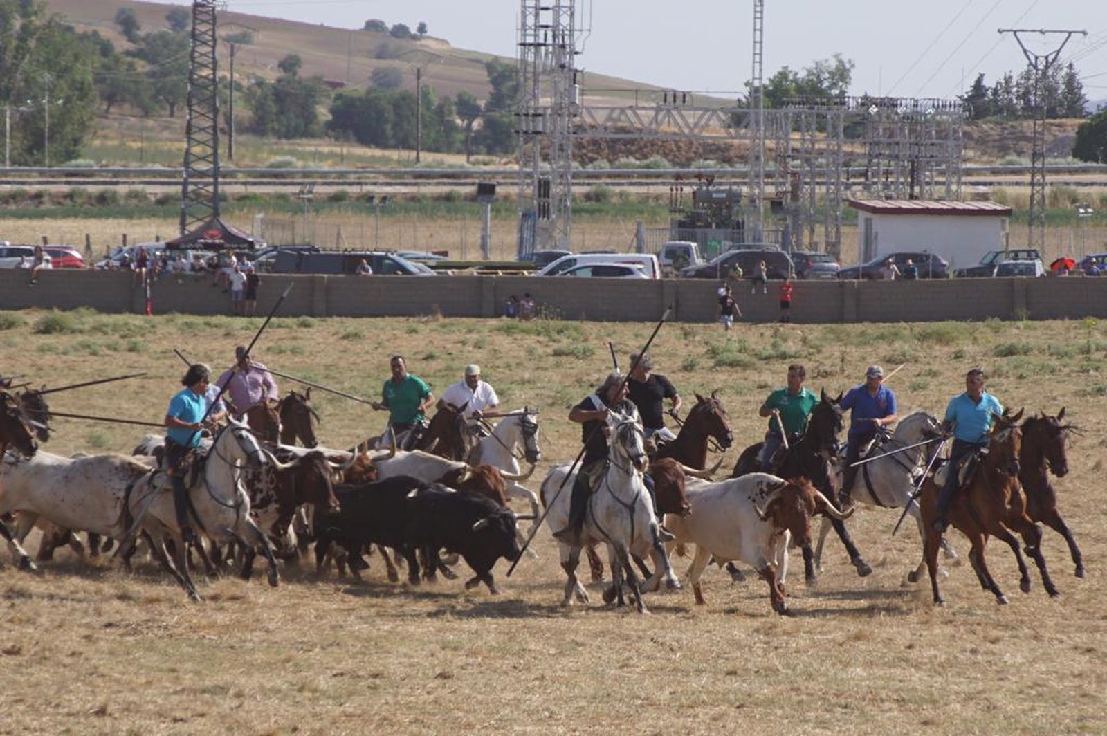 espantes-de-fuentesauco-34