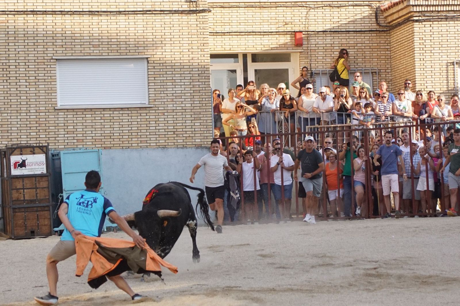 Pasión, tradición y calle: así se ha vivido en Ledesma el II Toro de Cajón